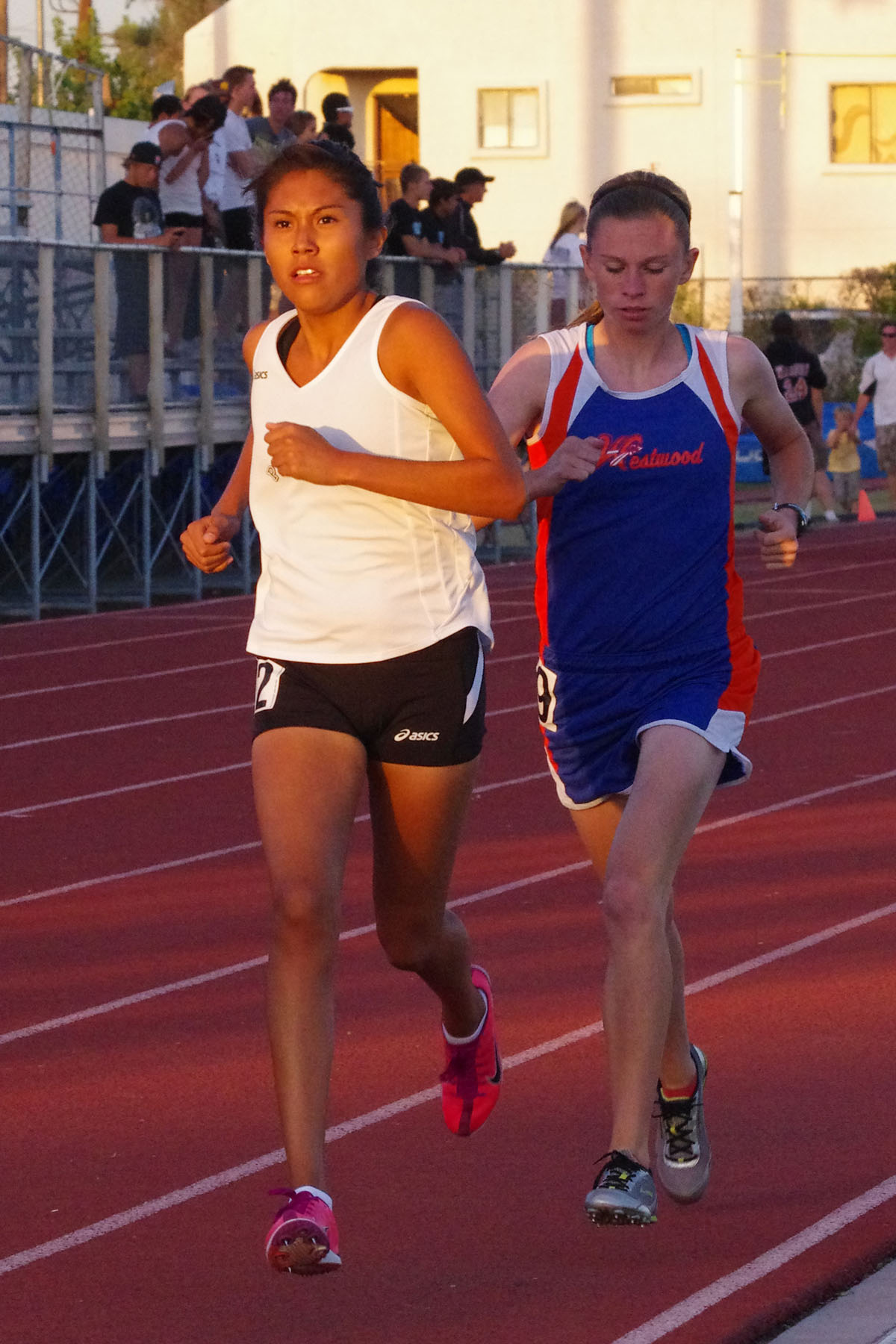 IMGP1076_C.jpg