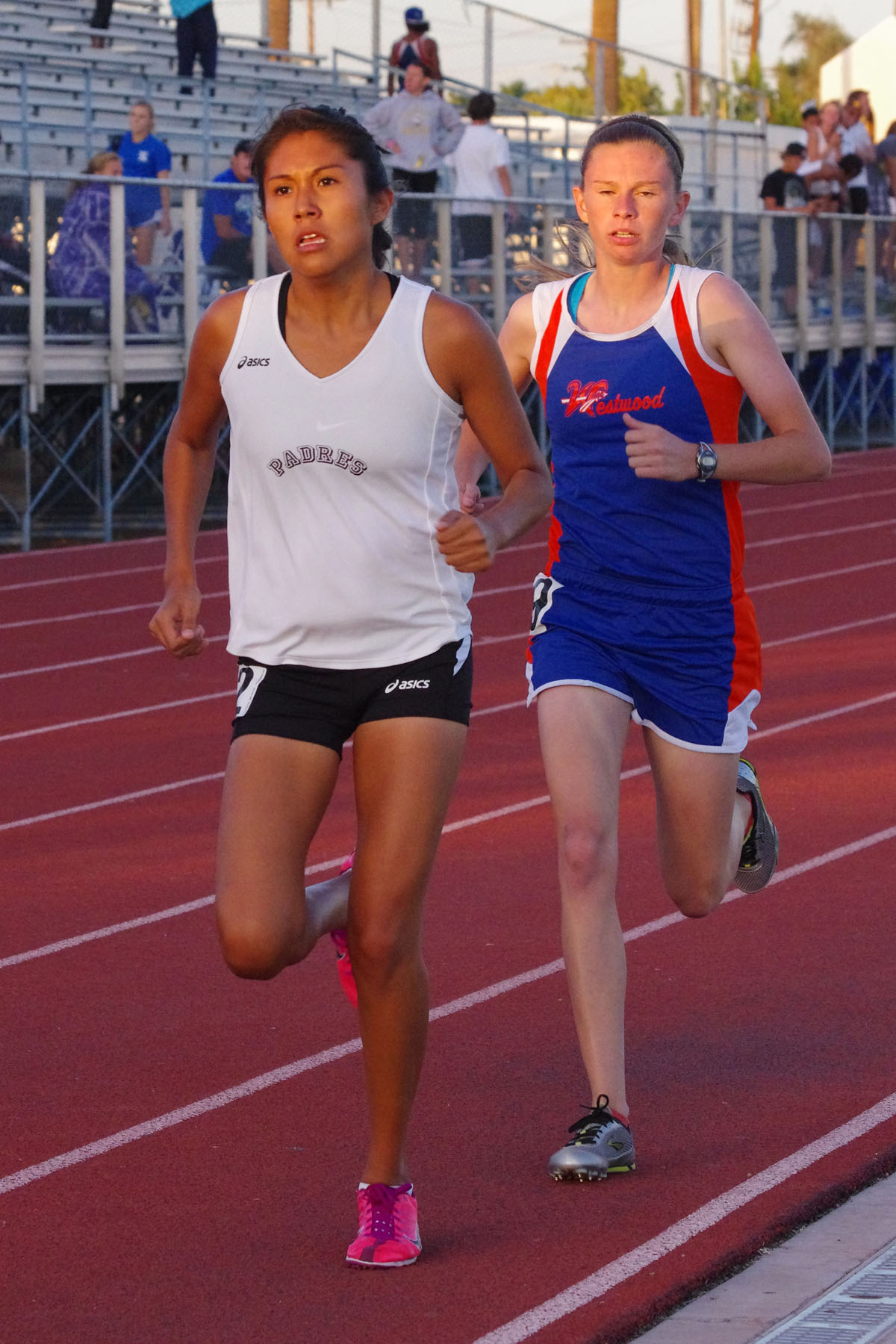 IMGP1078_C.jpg