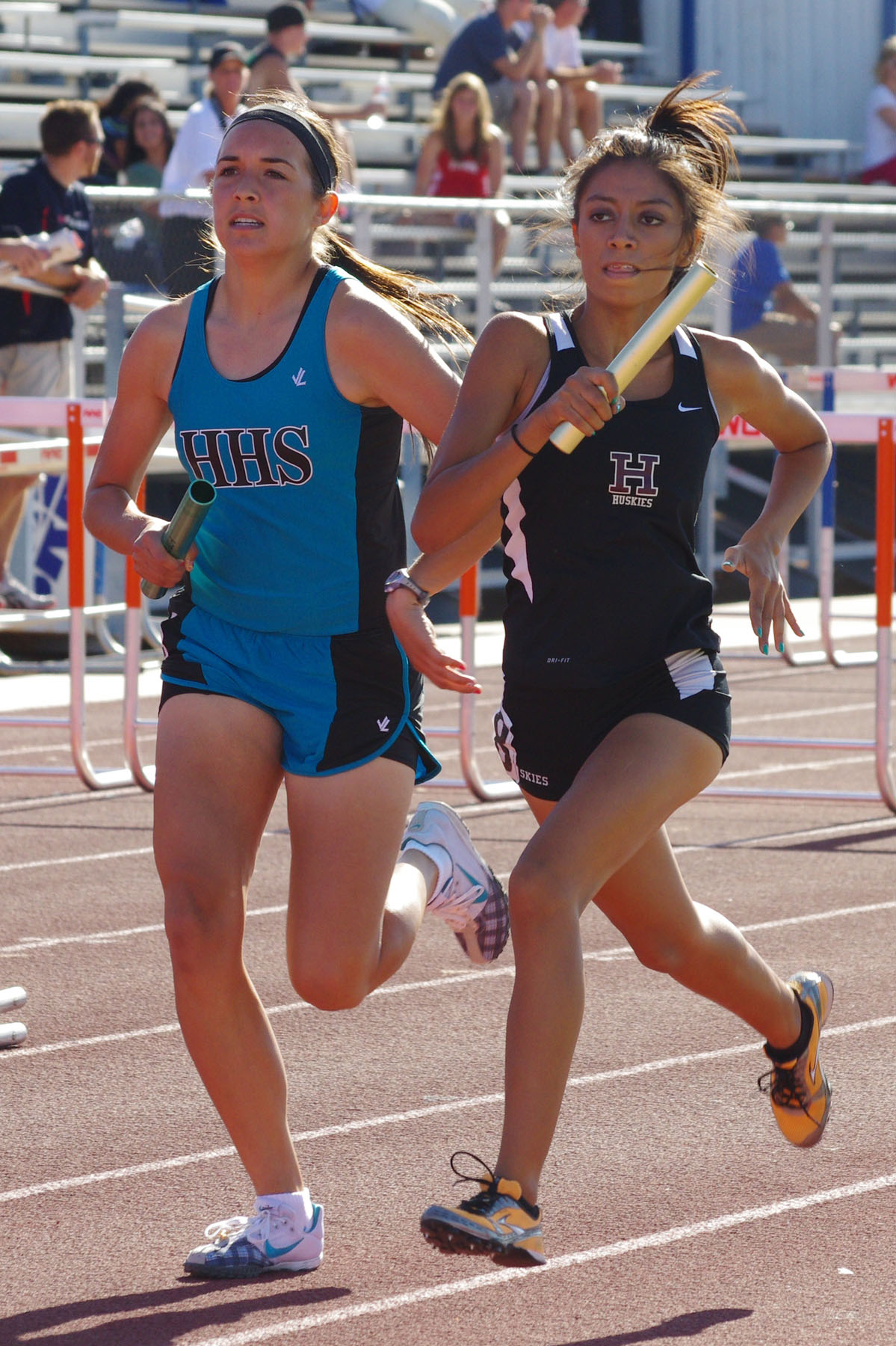 IMGP0979_C.jpg