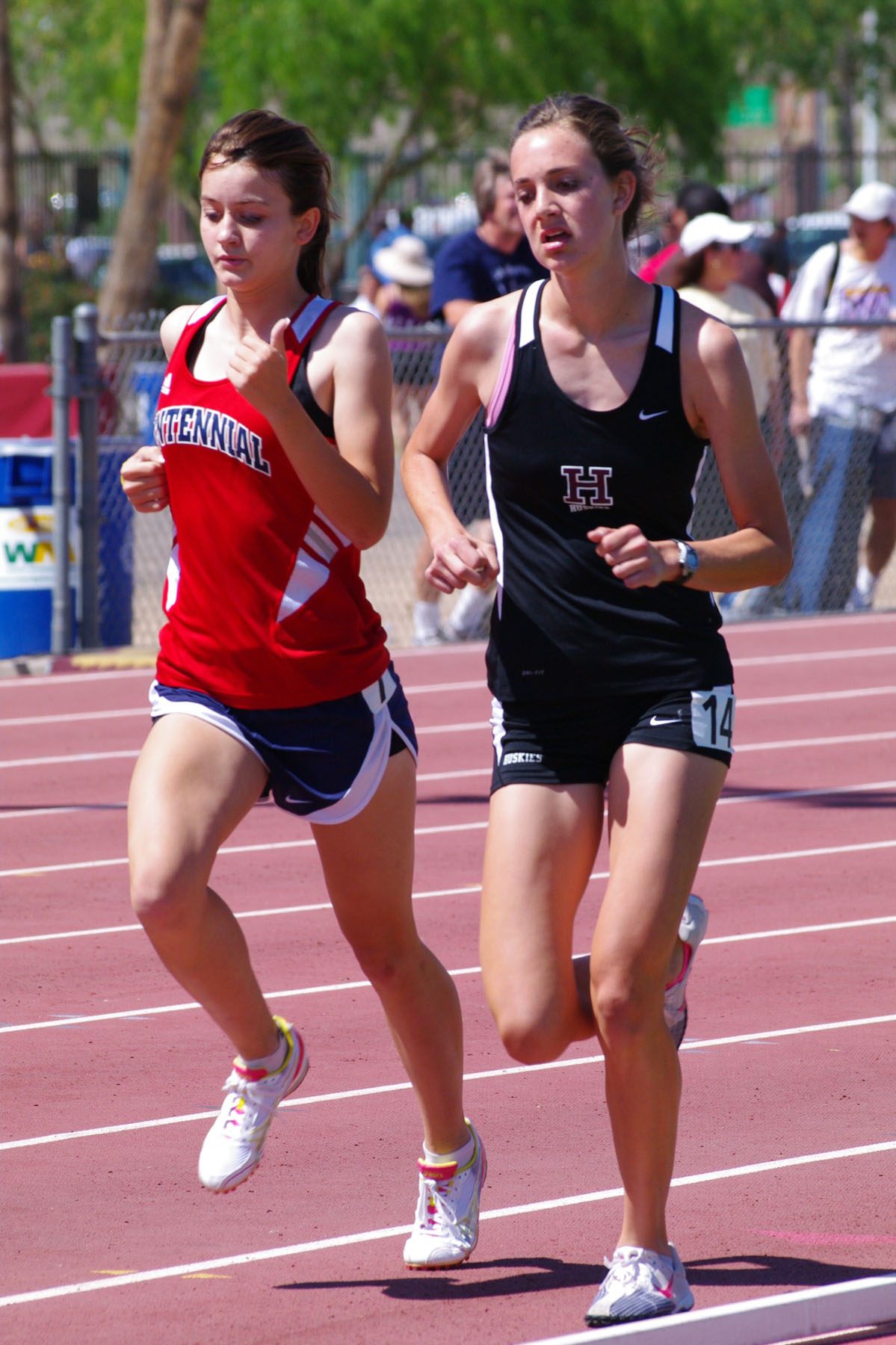 IMGP6340_C.jpg