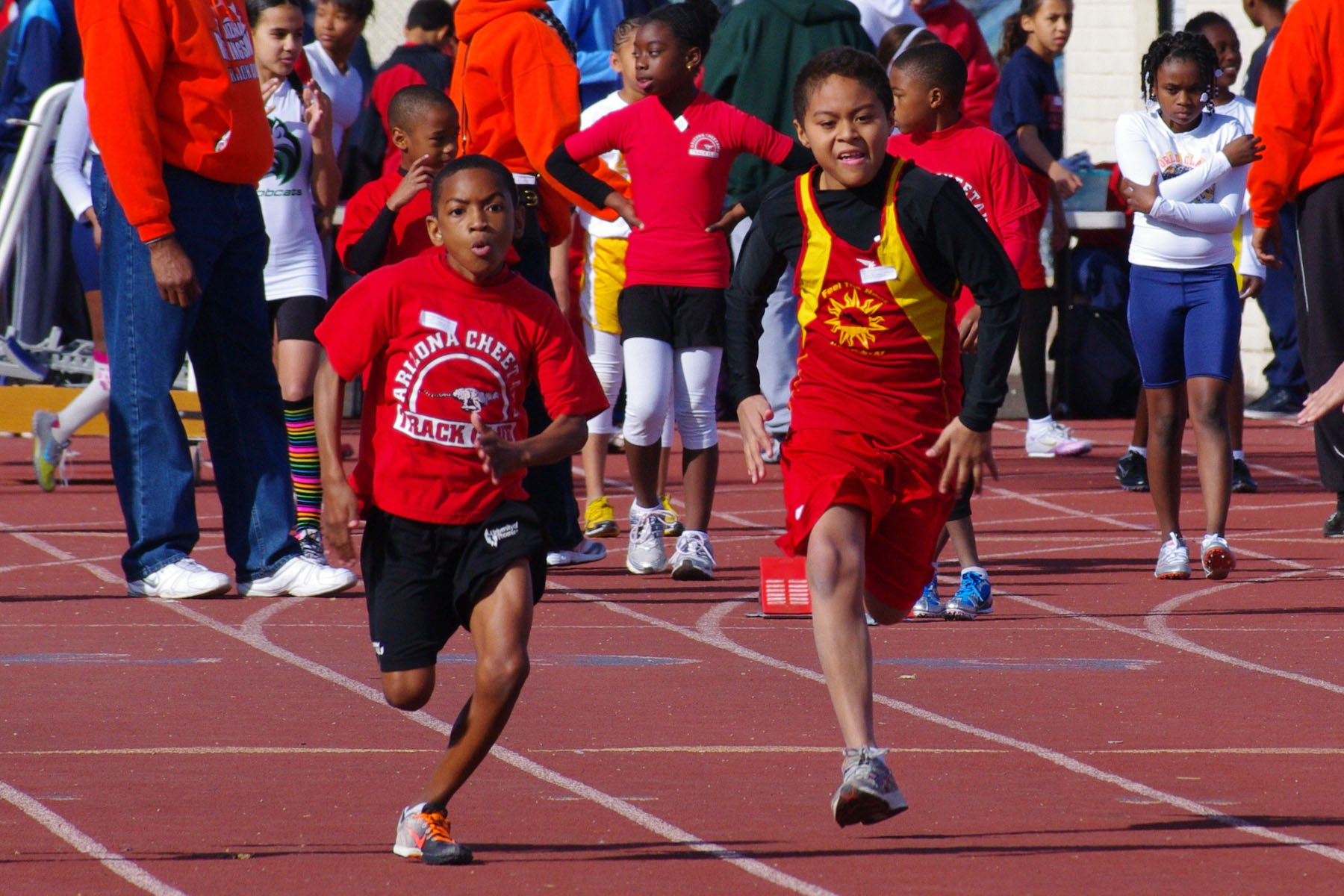 IMGP2698_C.jpg