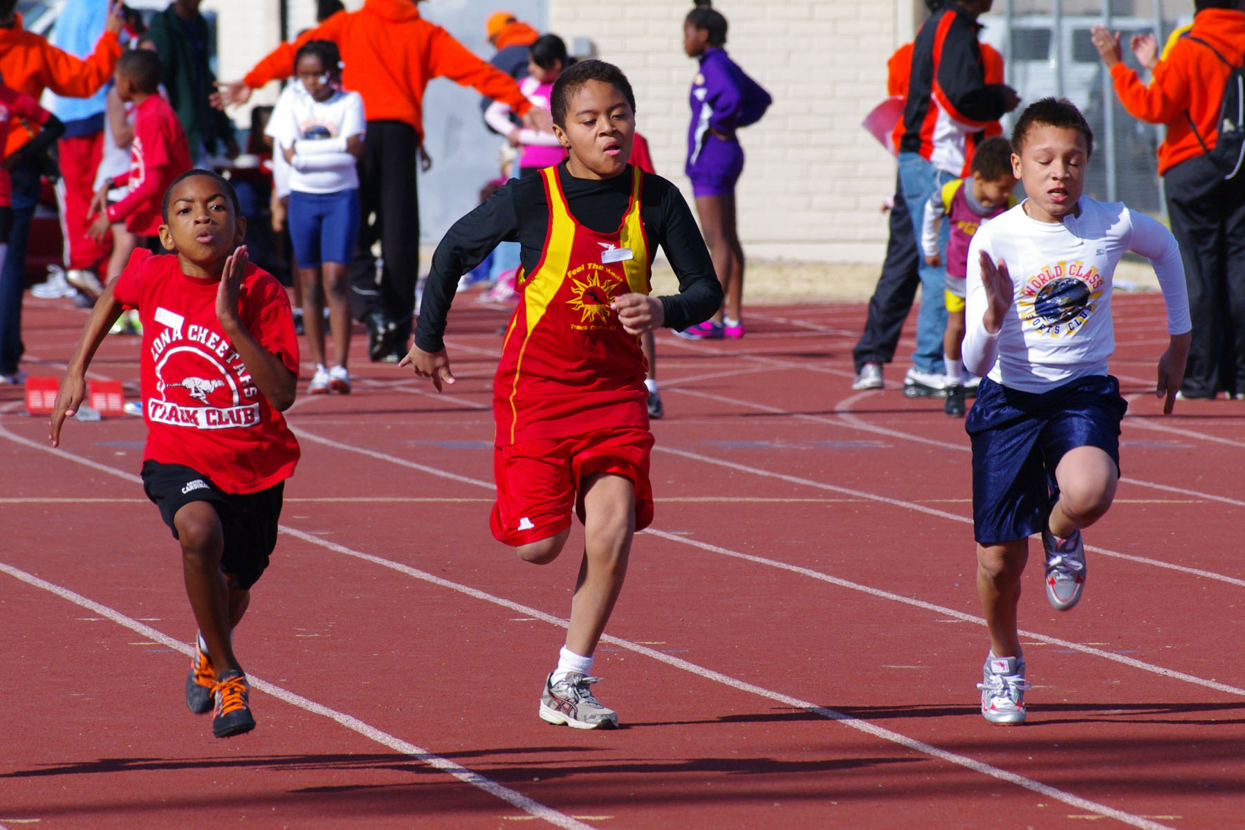IMGP2700_C.jpg
