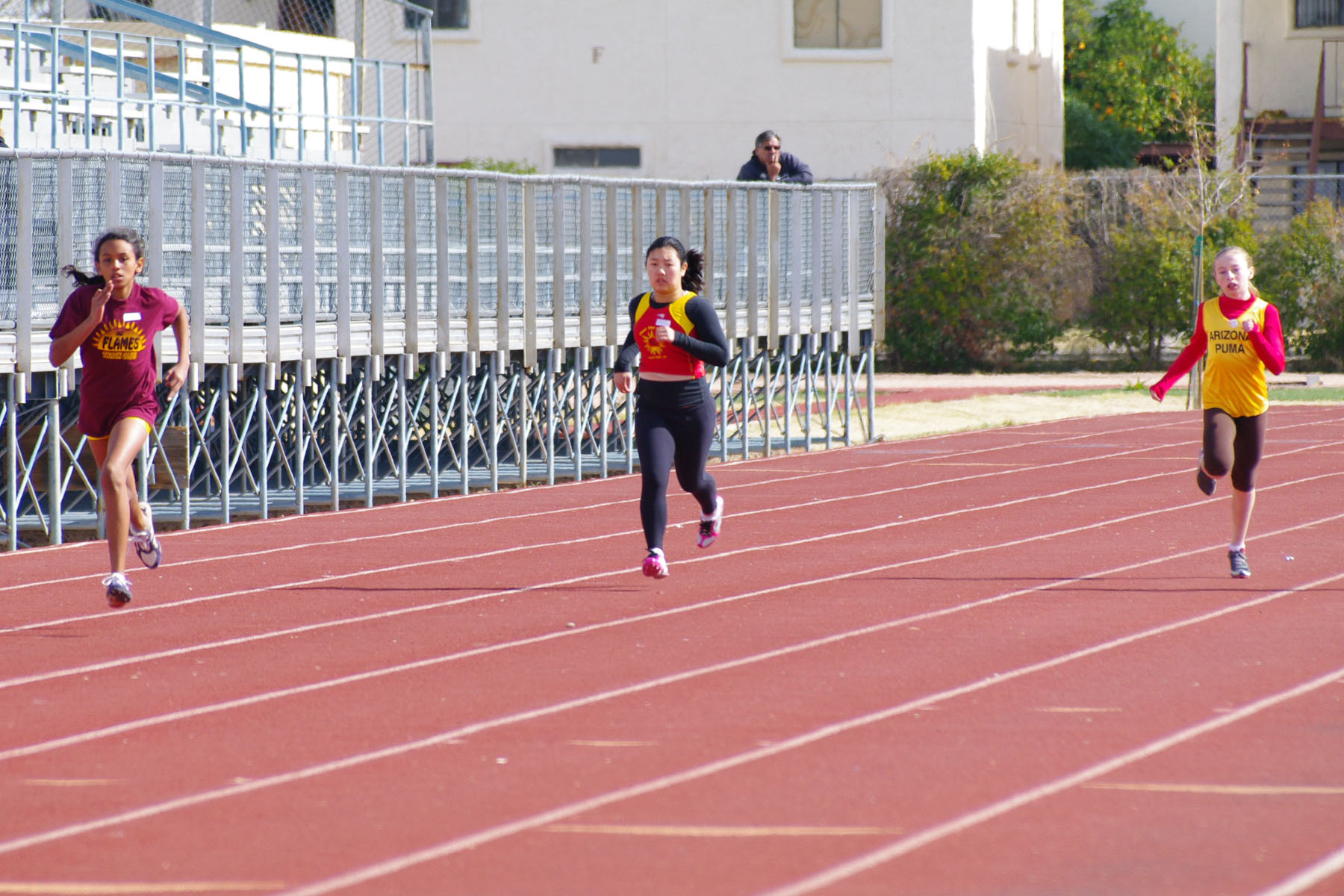 IMGP2779_C.jpg