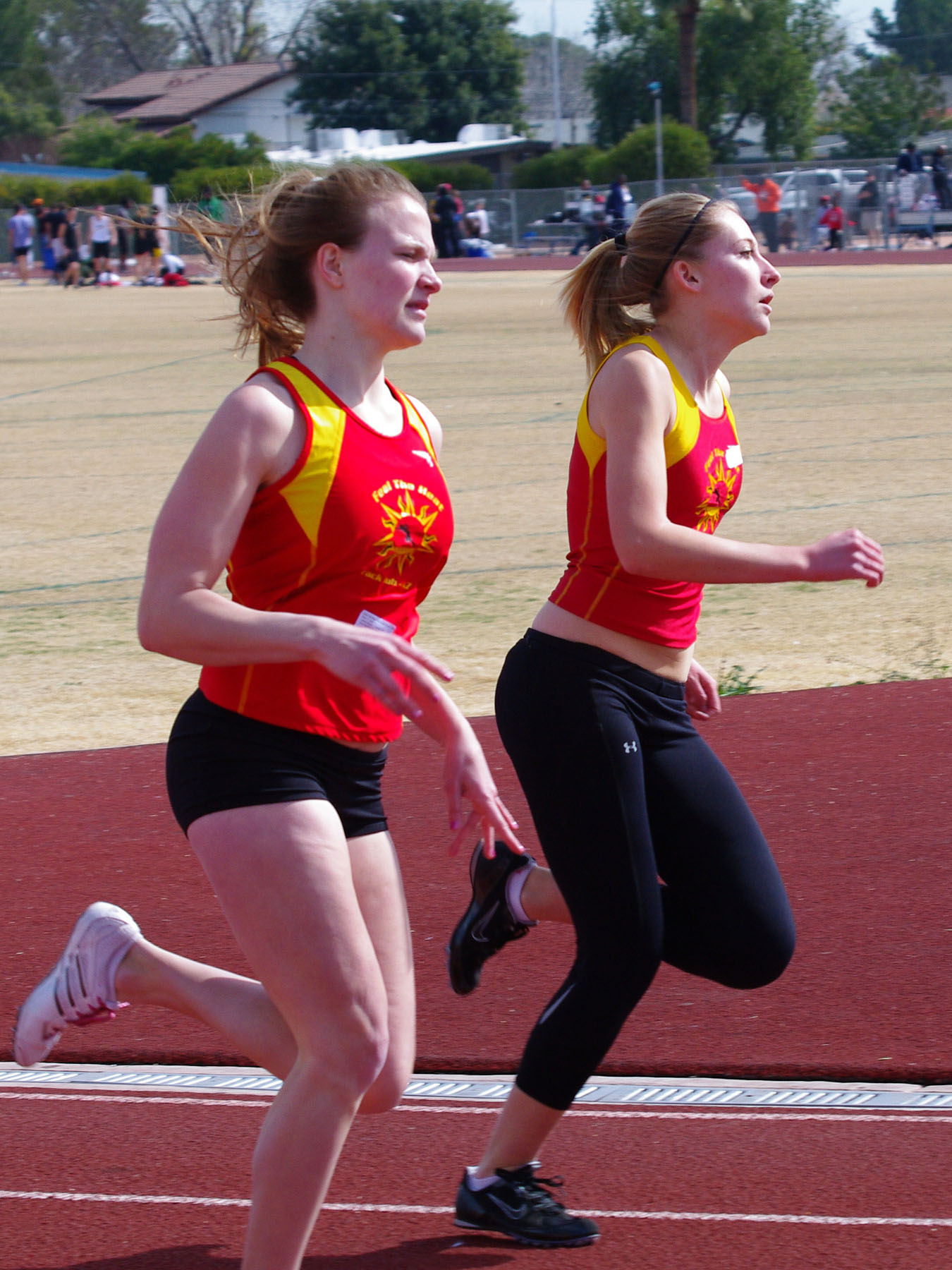 IMGP2824_CE.jpg