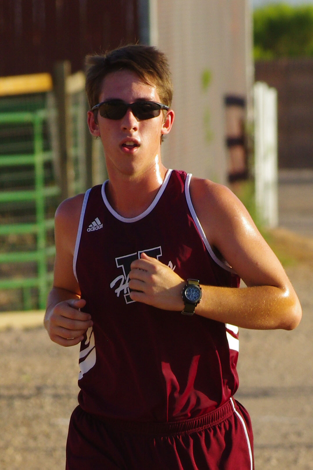 IMGP5892_C.jpg