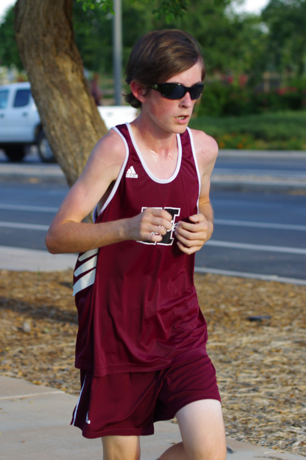IMGP5903_C.jpg
