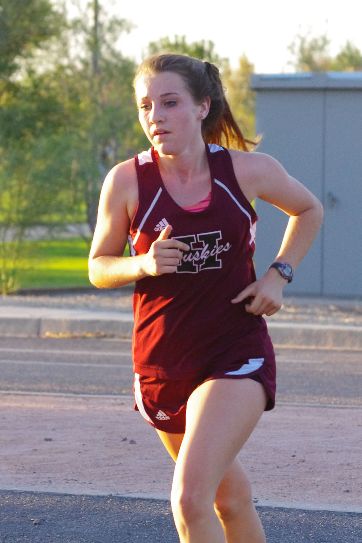 IMGP5967_C.jpg