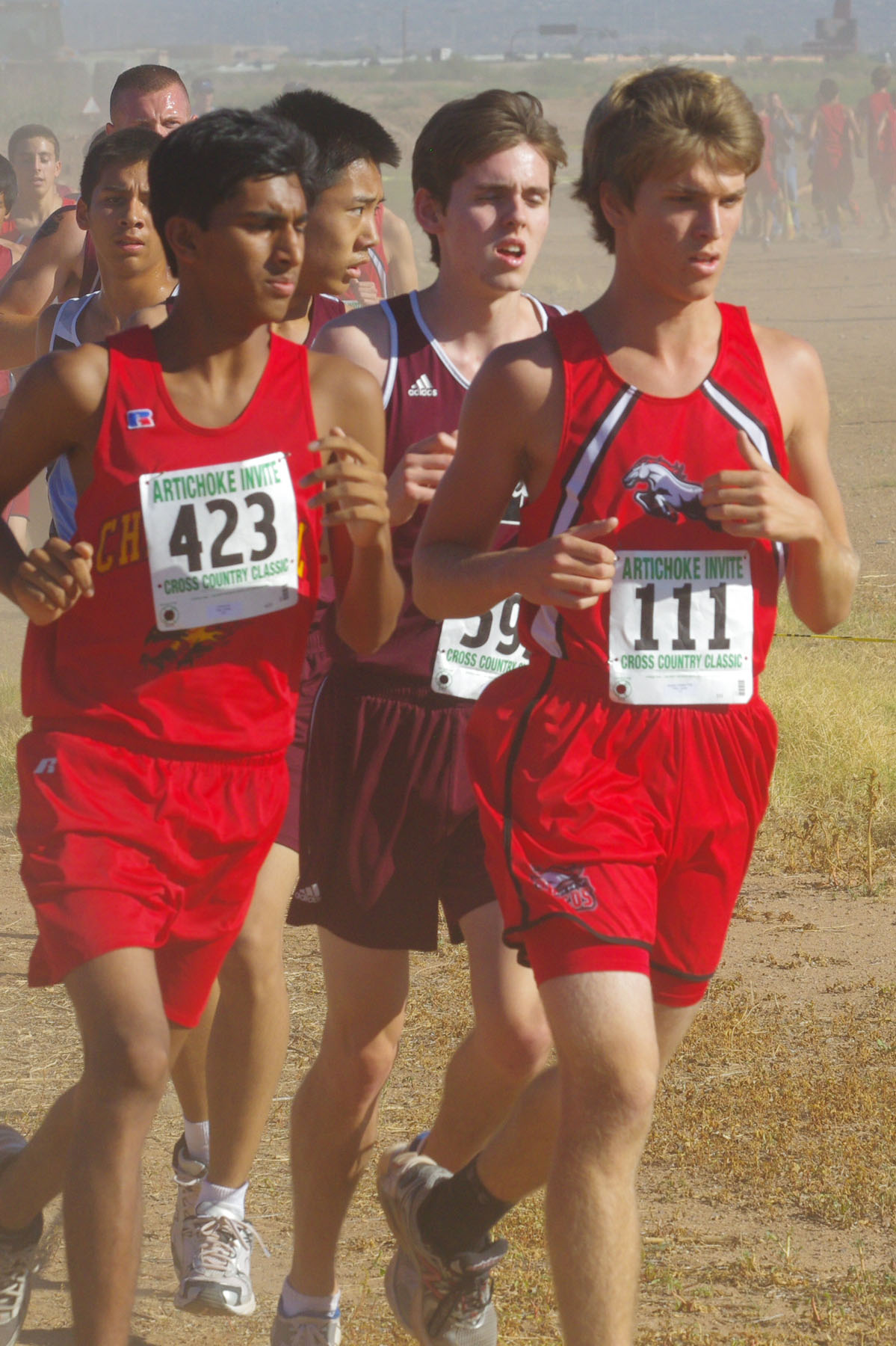 IMGP5149_C.jpg
