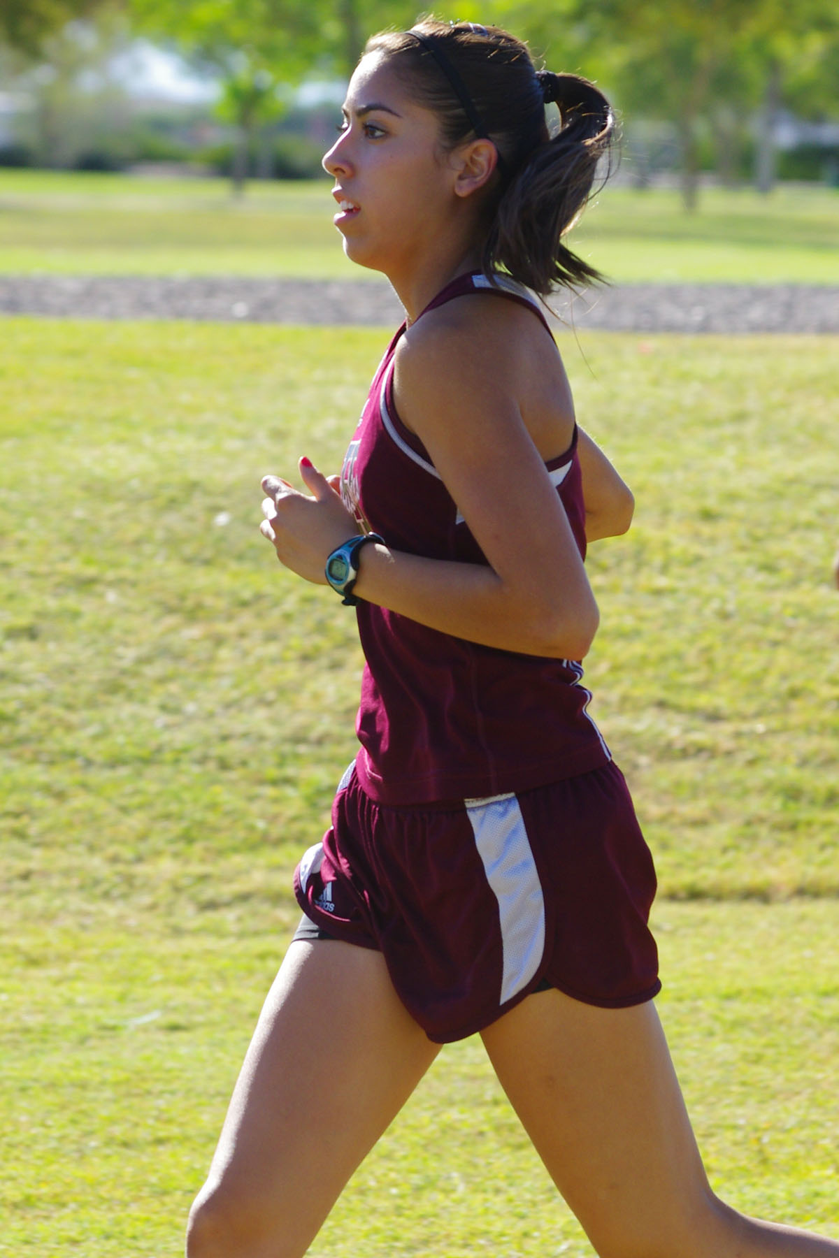 IMGP7236_CE.jpg