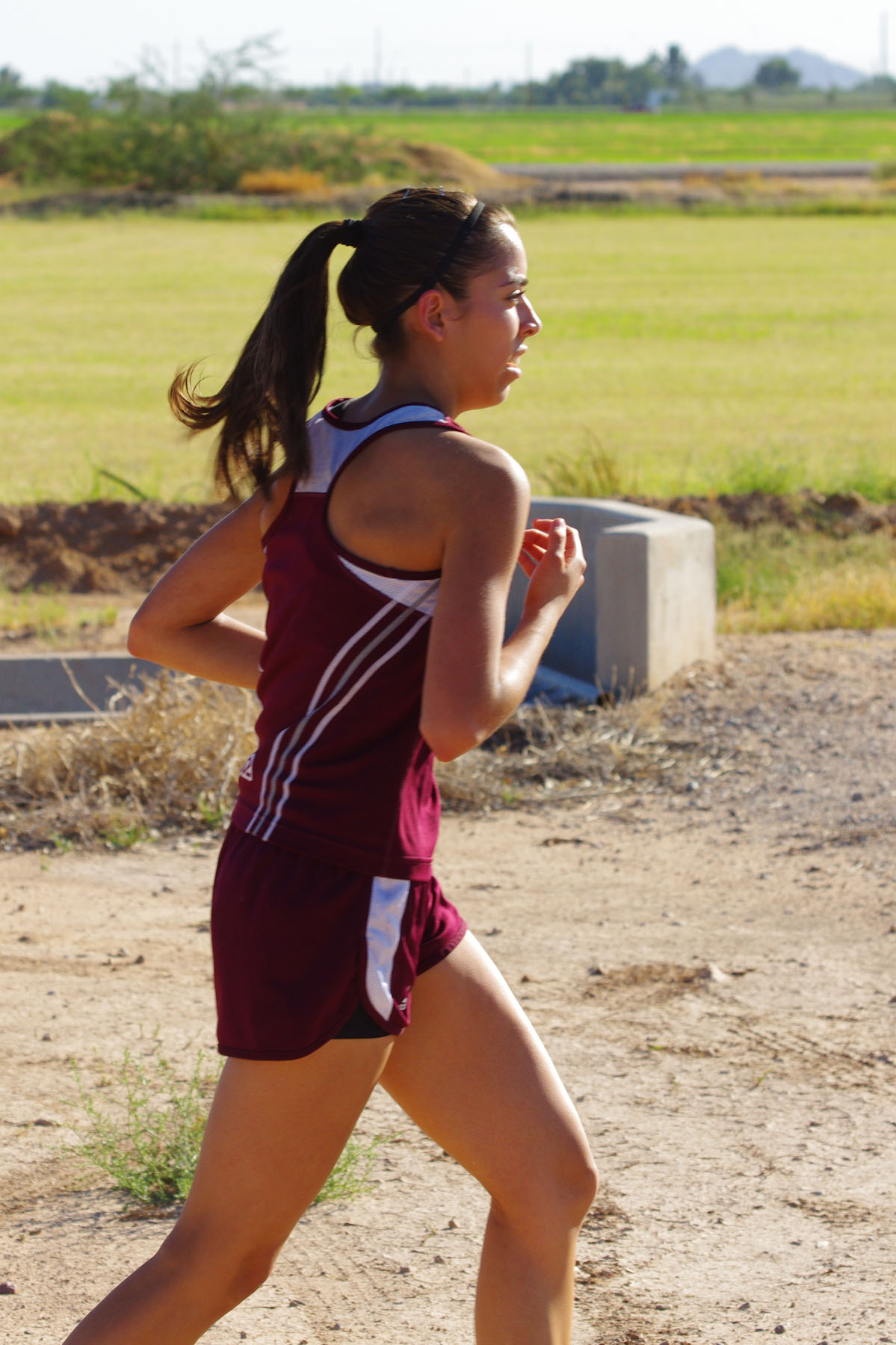 IMGP7250_C.jpg