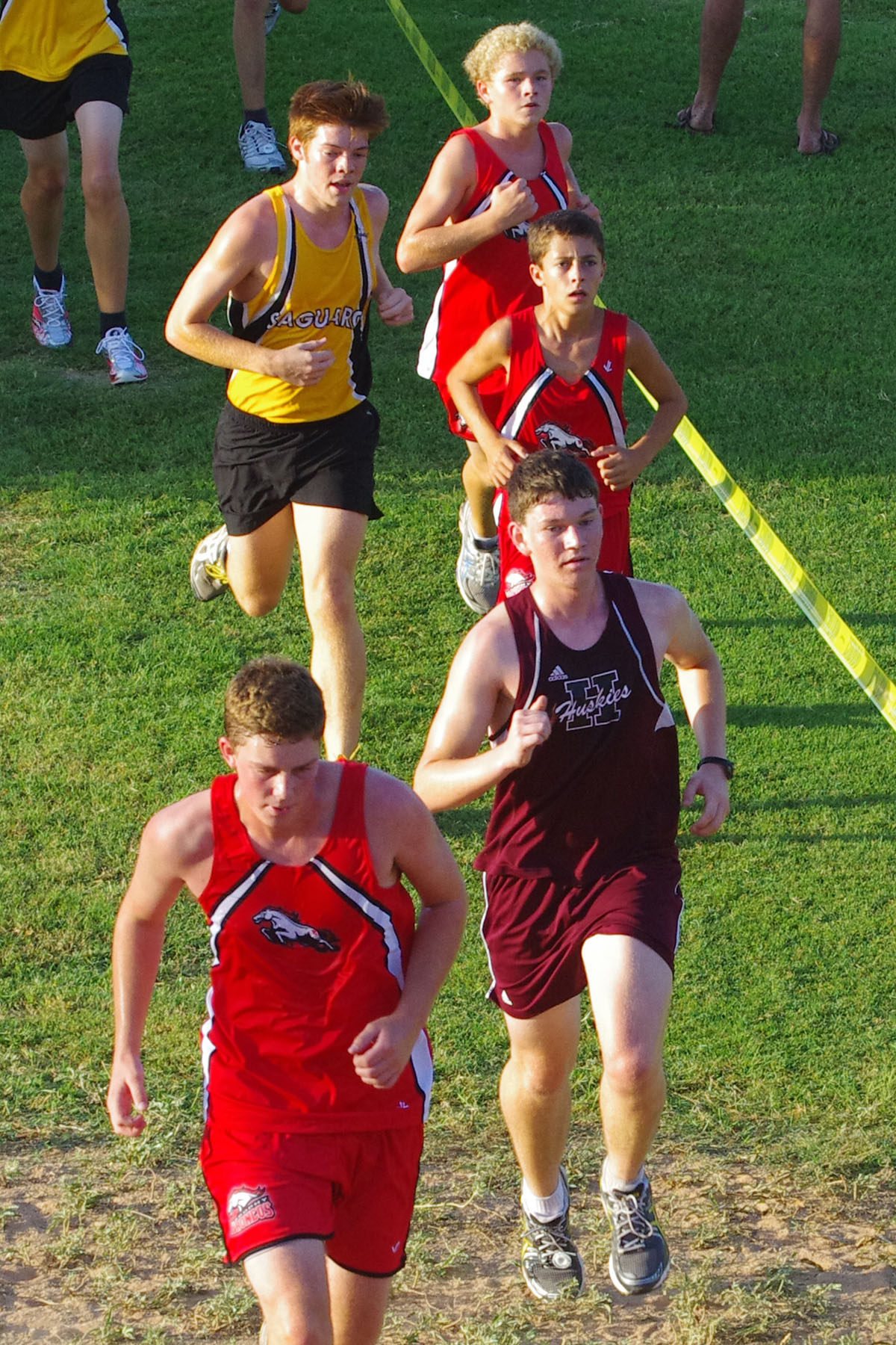 IMGP3837_C.jpg