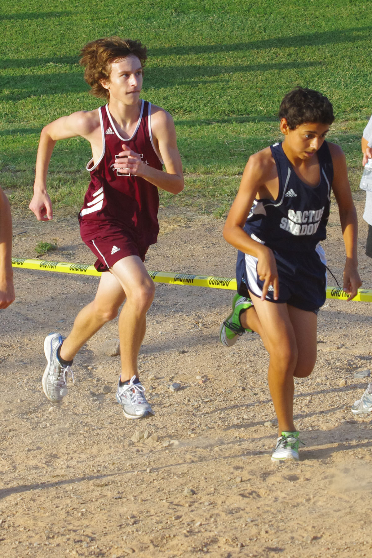 IMGP3890_C.jpg