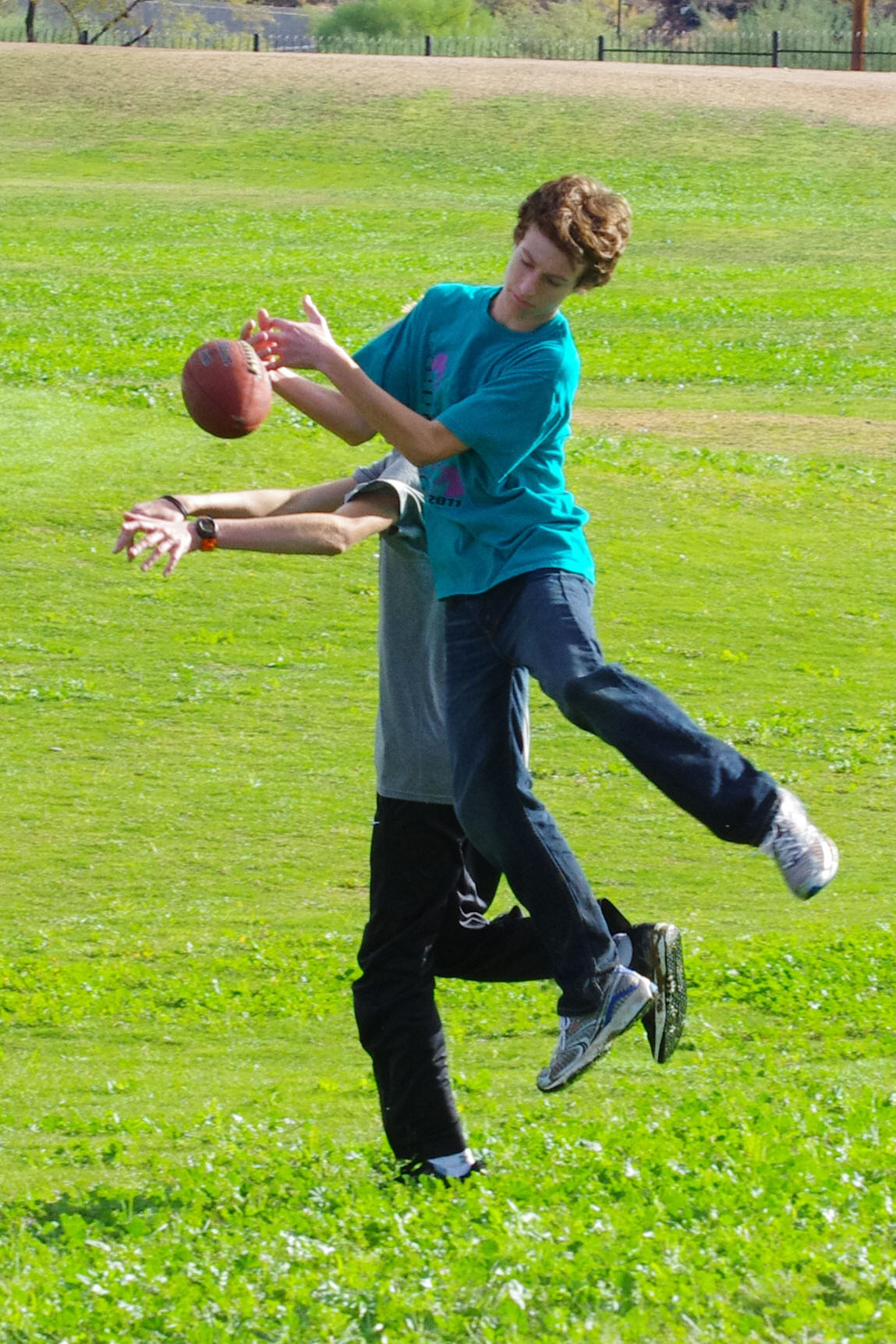 IMGP8331_C.jpg