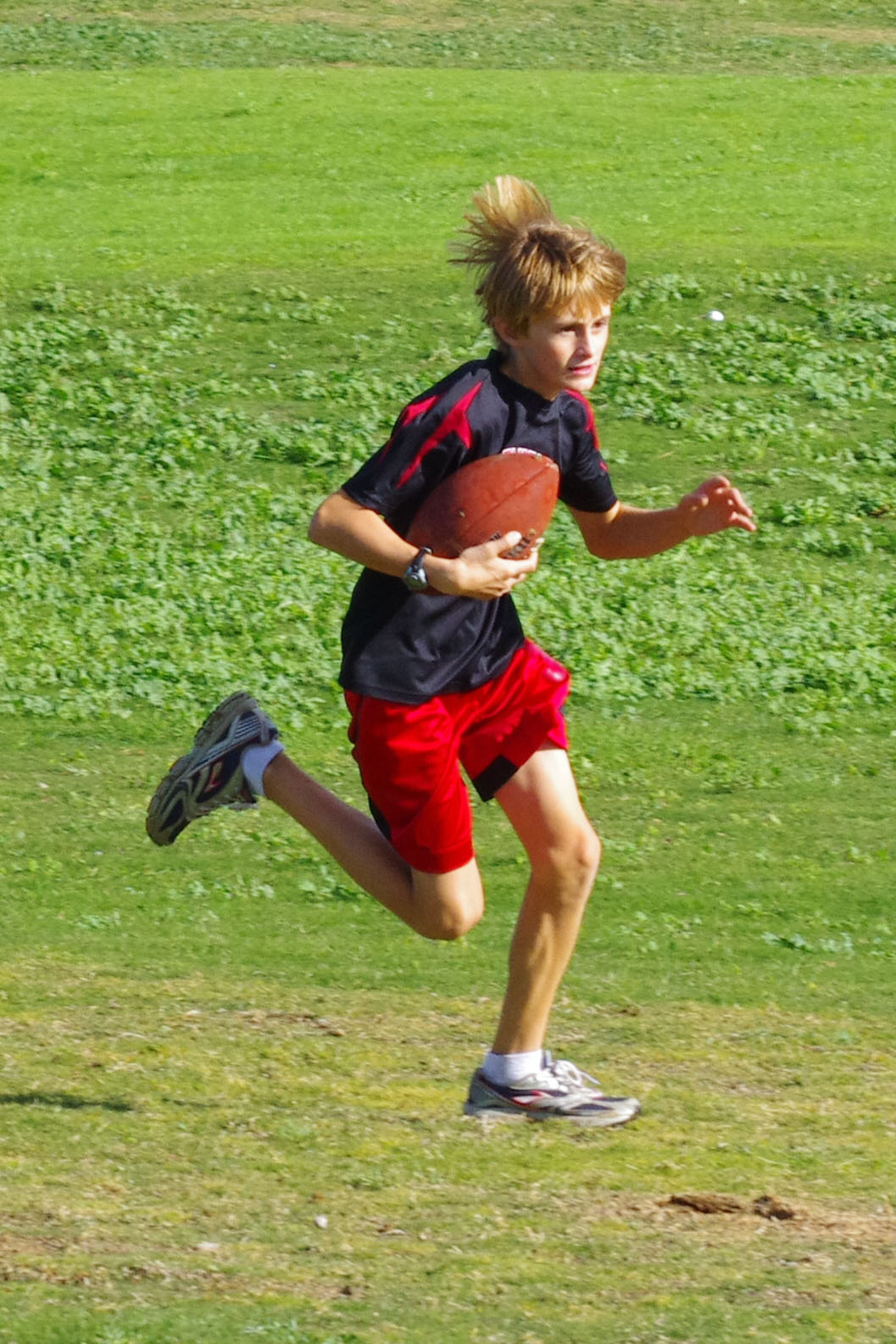 IMGP8372_C.jpg