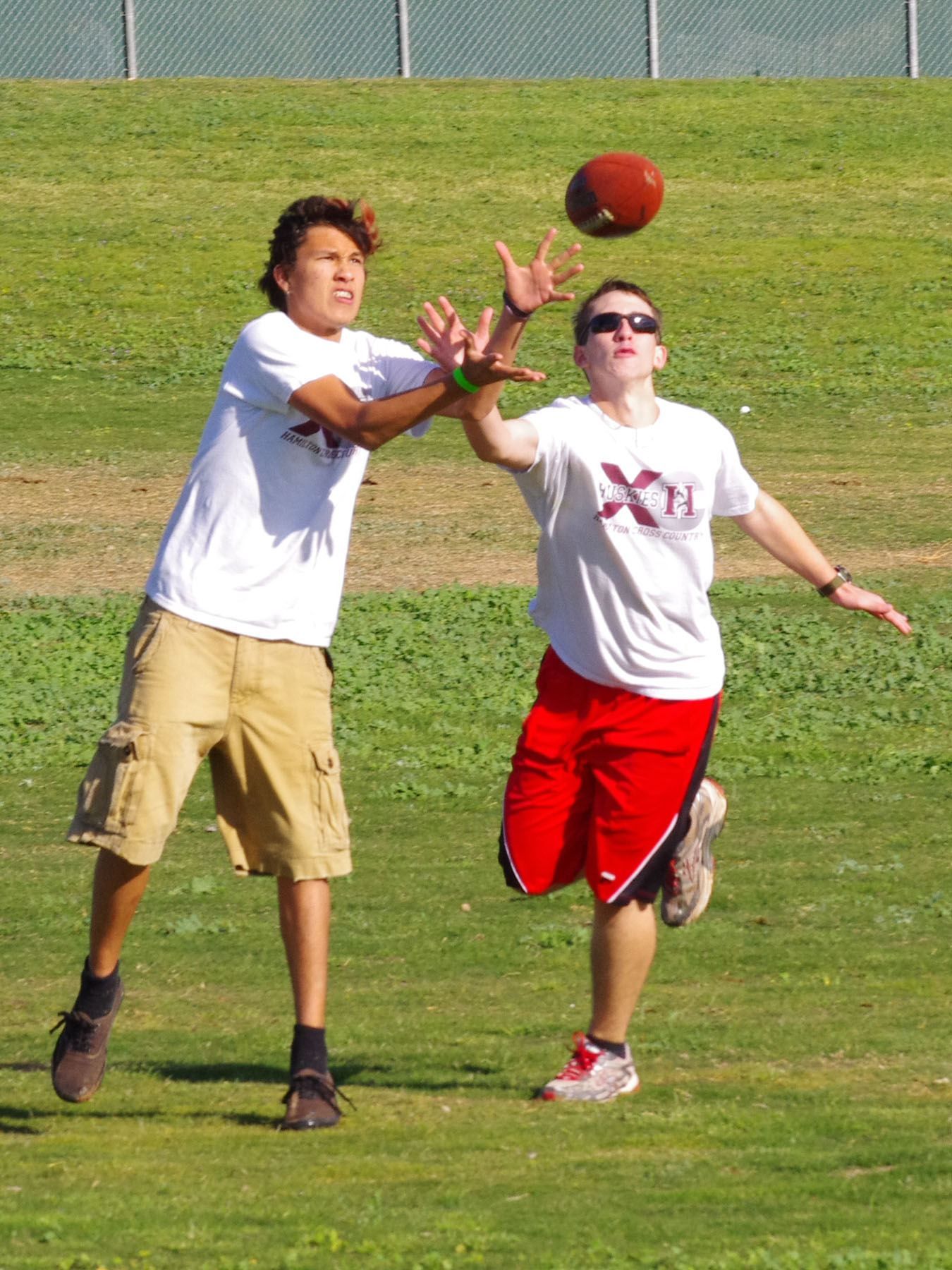 IMGP8394_C.jpg