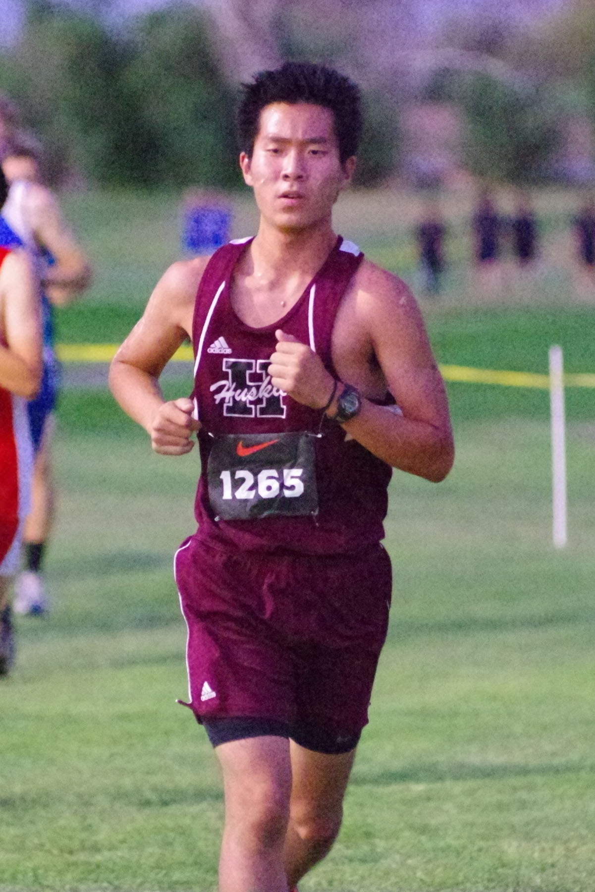 IMGP6311_C.jpg