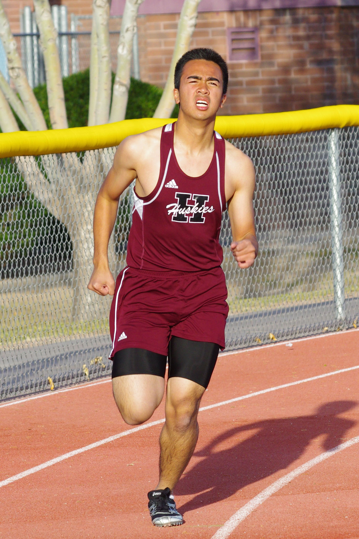 IMGP0224_C.jpg