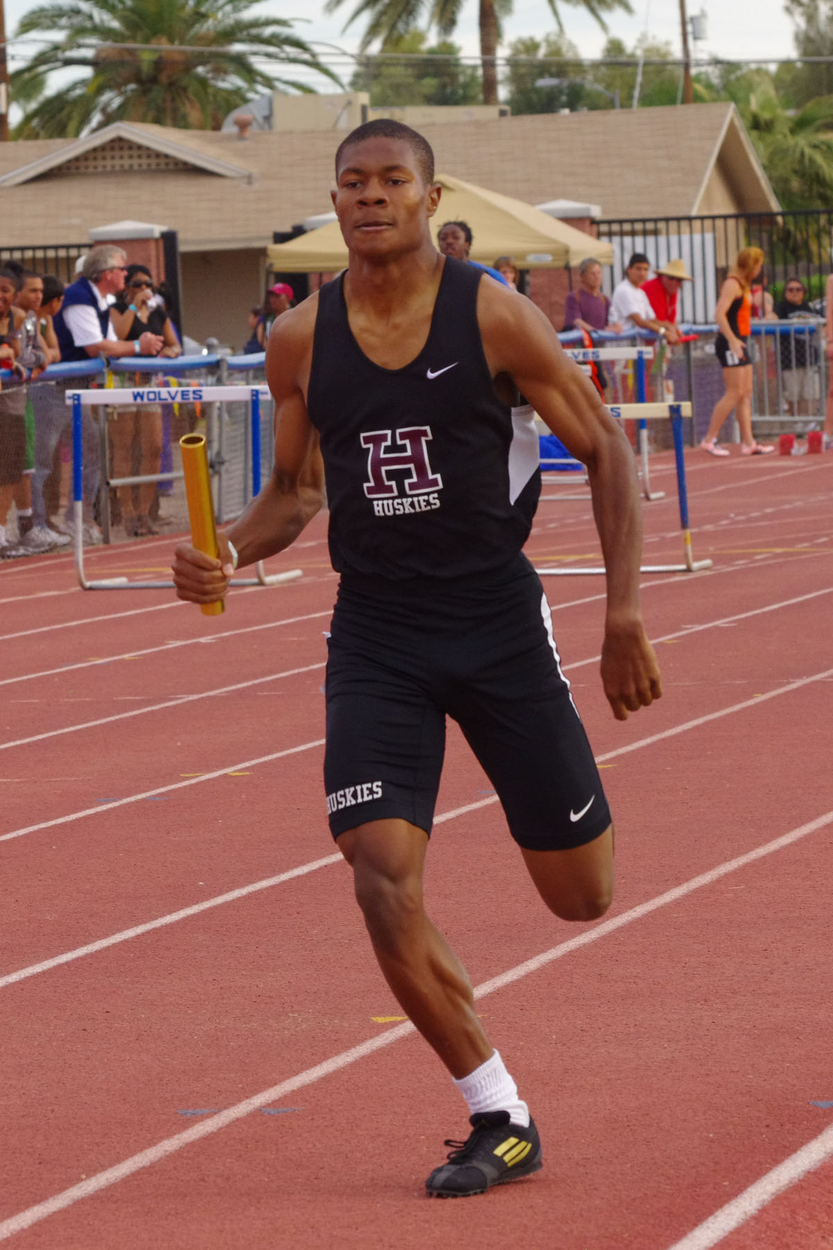 IMGP2973_C.jpg