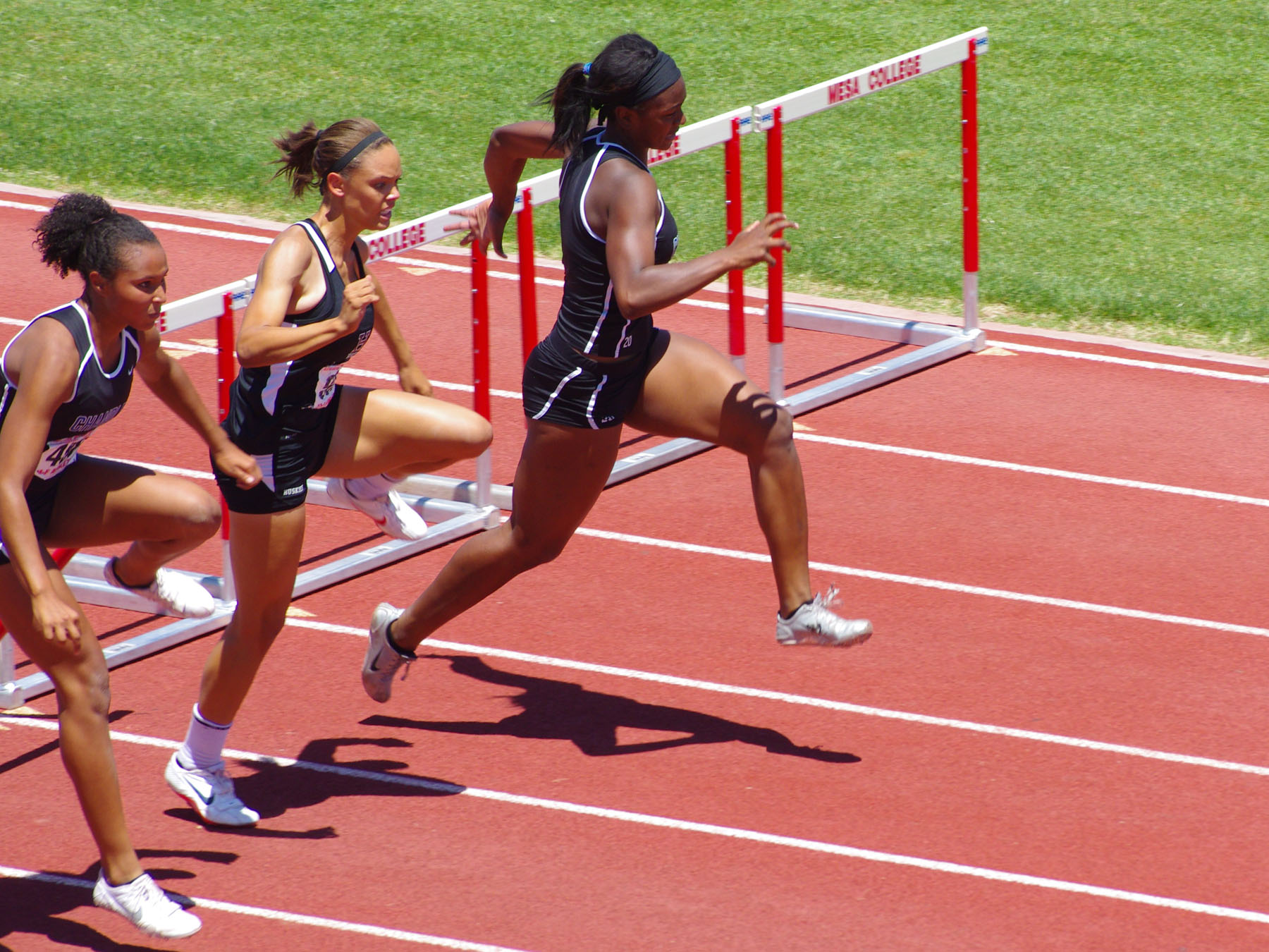 IMGP6750_C.jpg