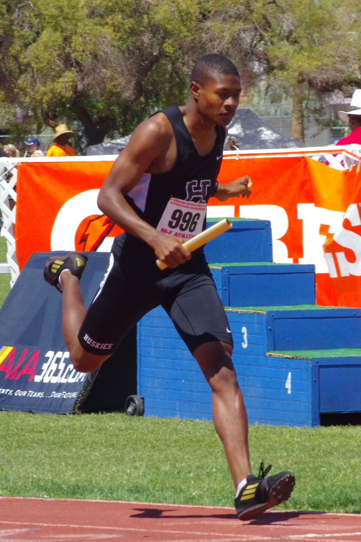 IMGP6836_C.jpg