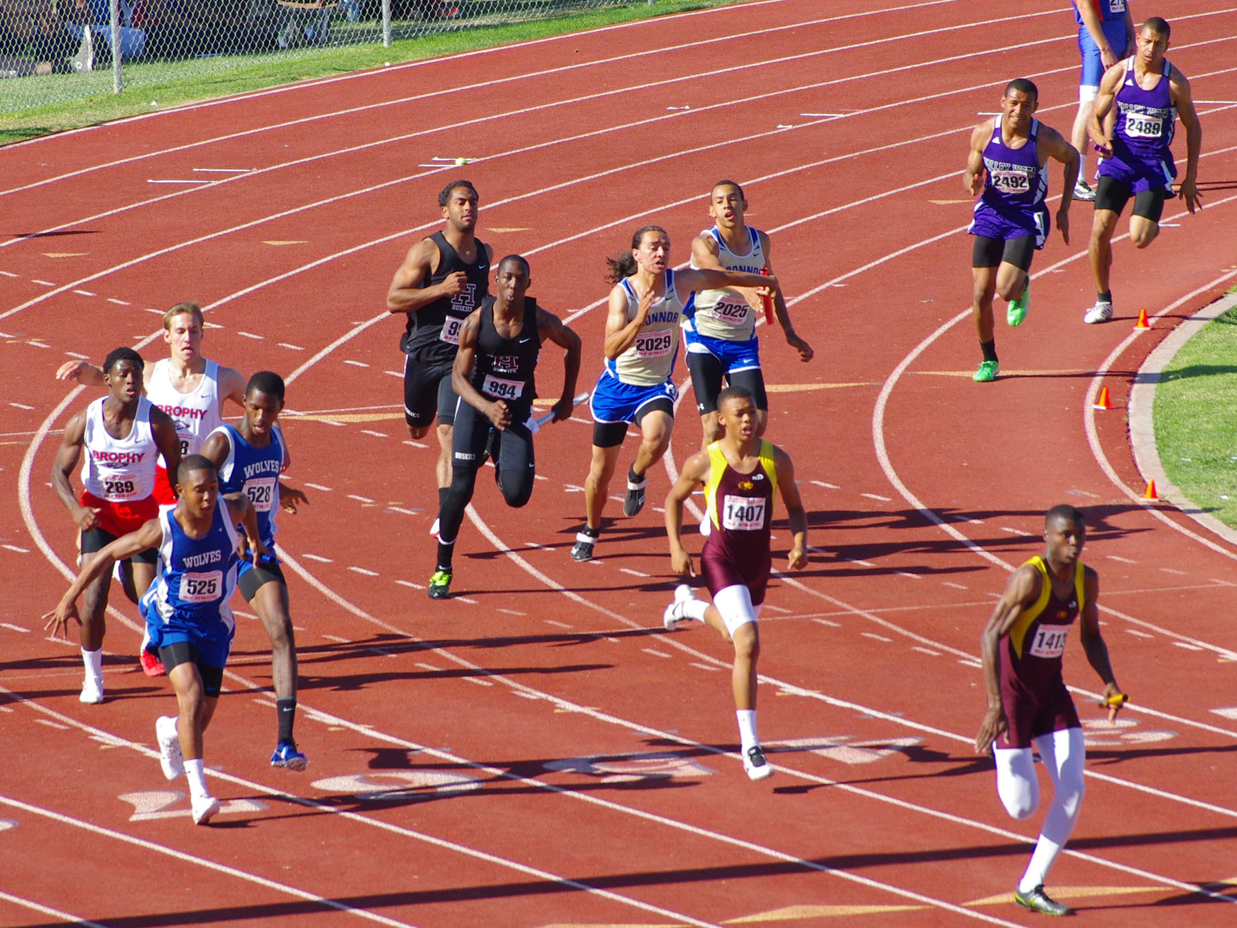 IMGP6899_C.jpg