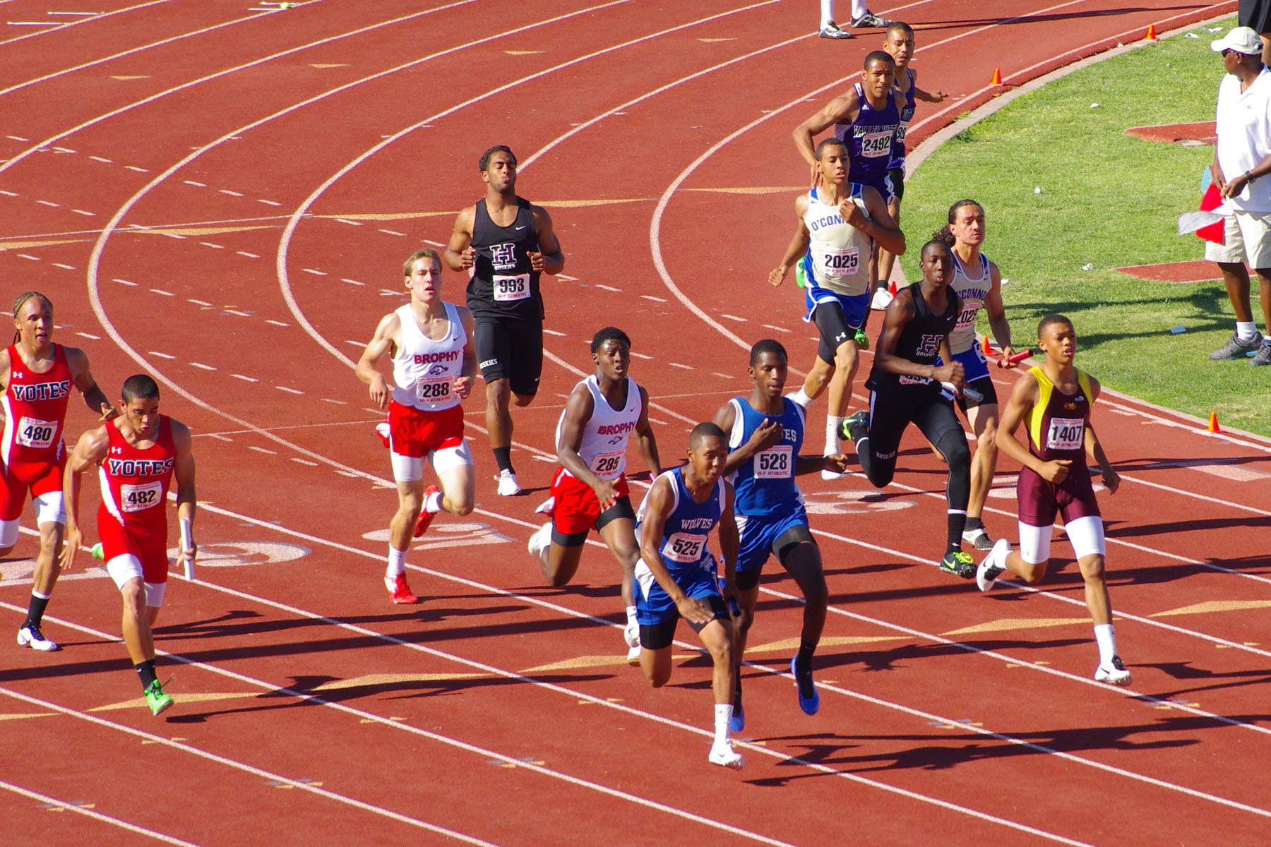 IMGP6900_C.jpg
