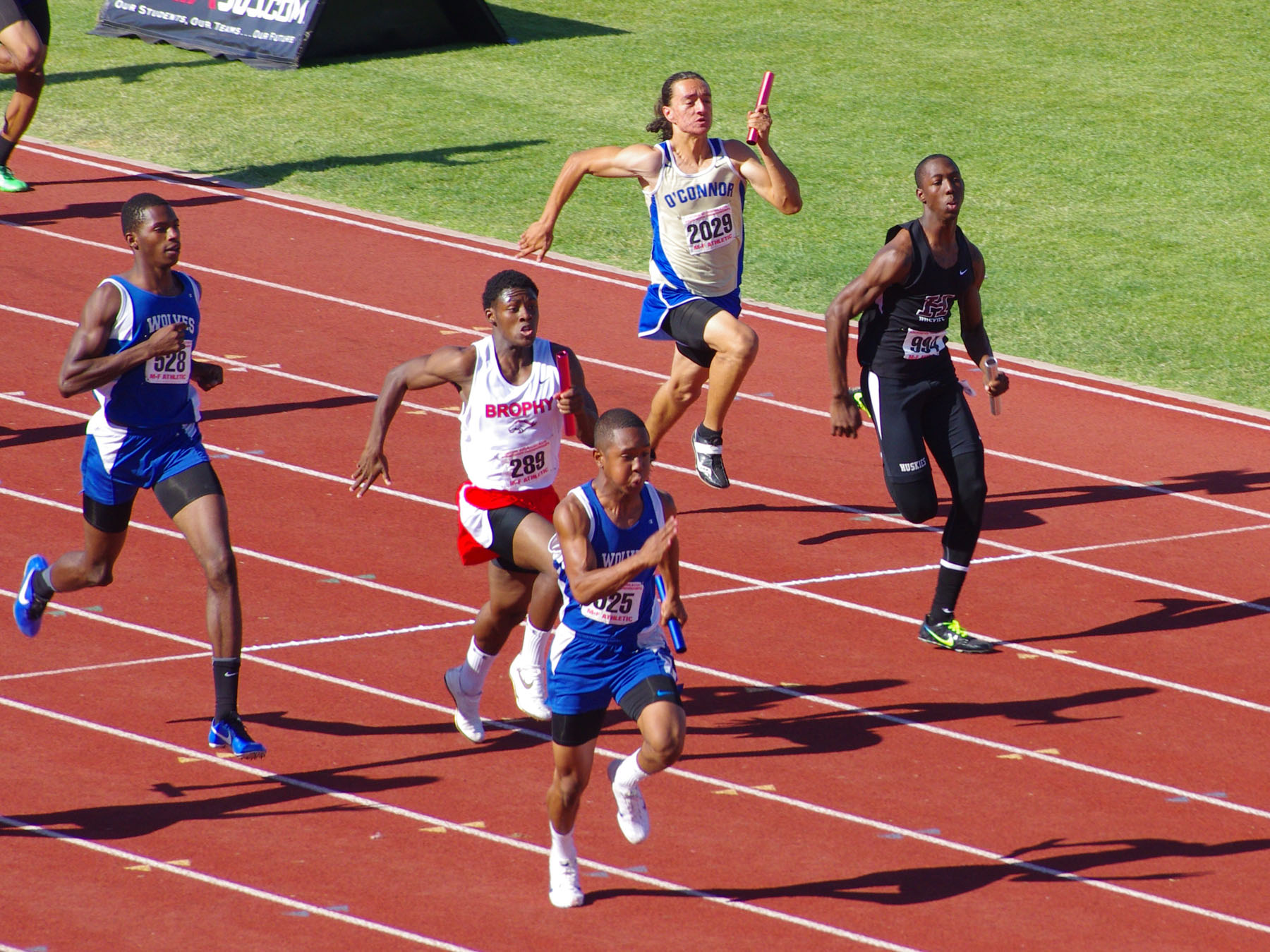 IMGP6901_C.jpg