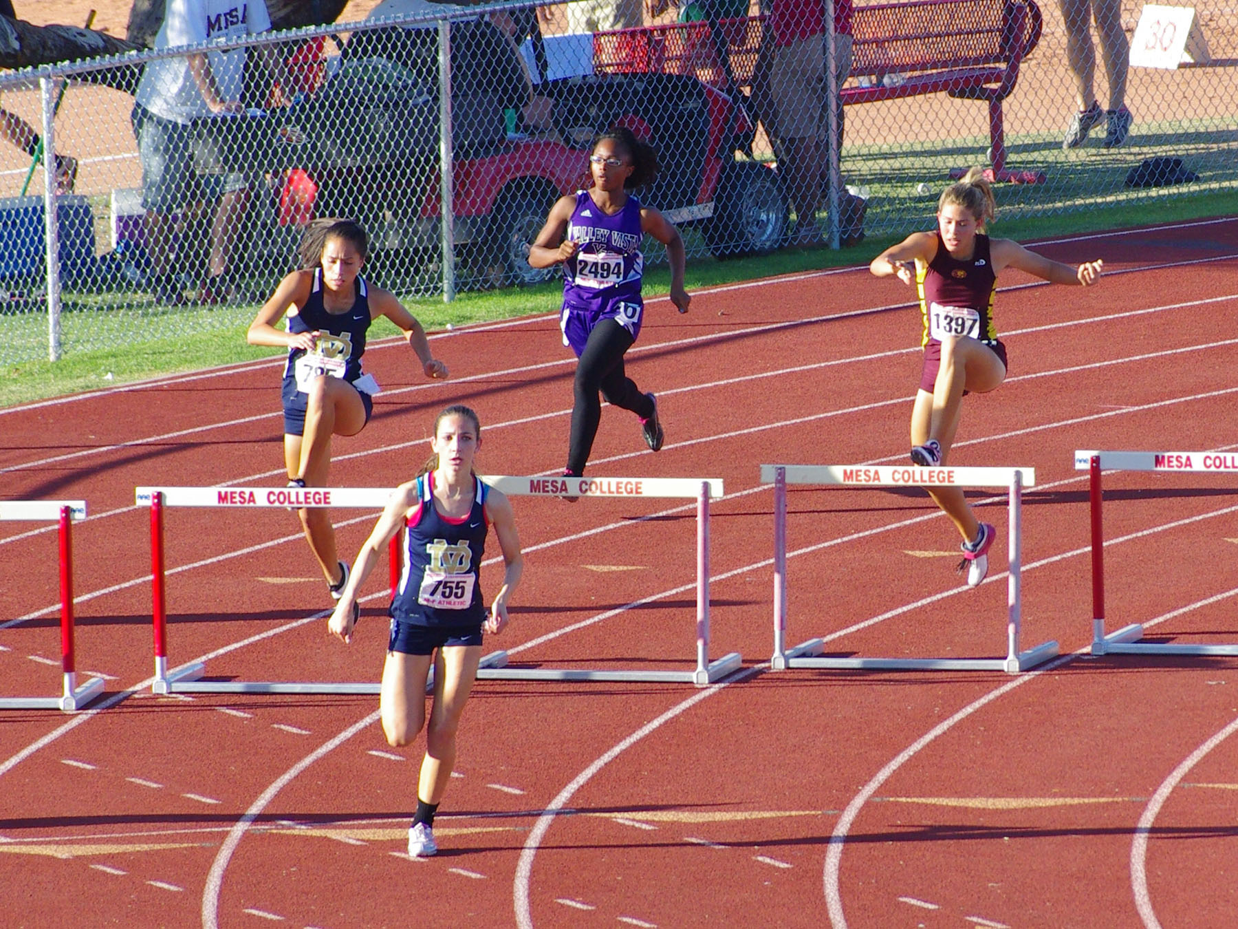 IMGP6929_C.jpg