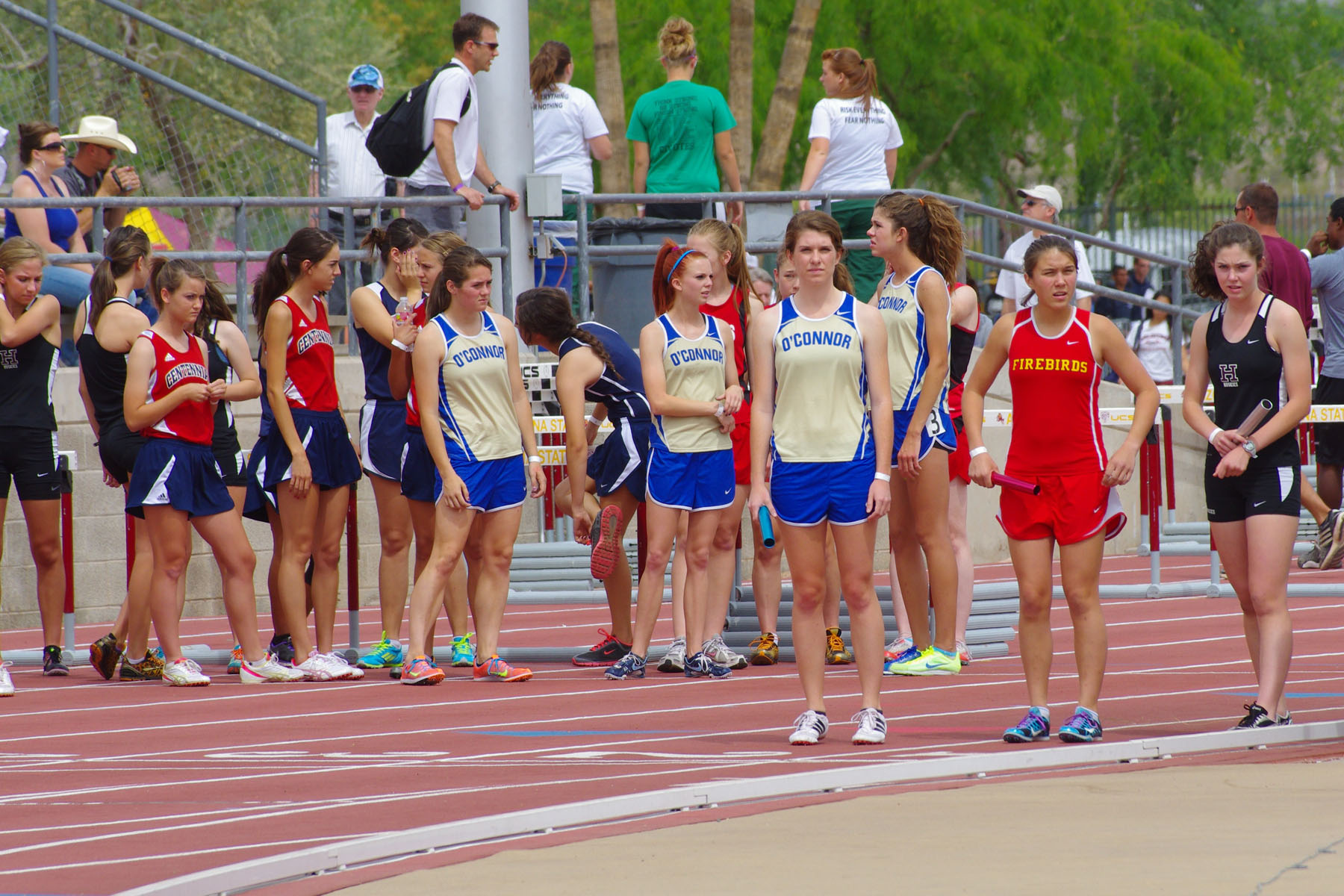 IMGP3285_C.jpg
