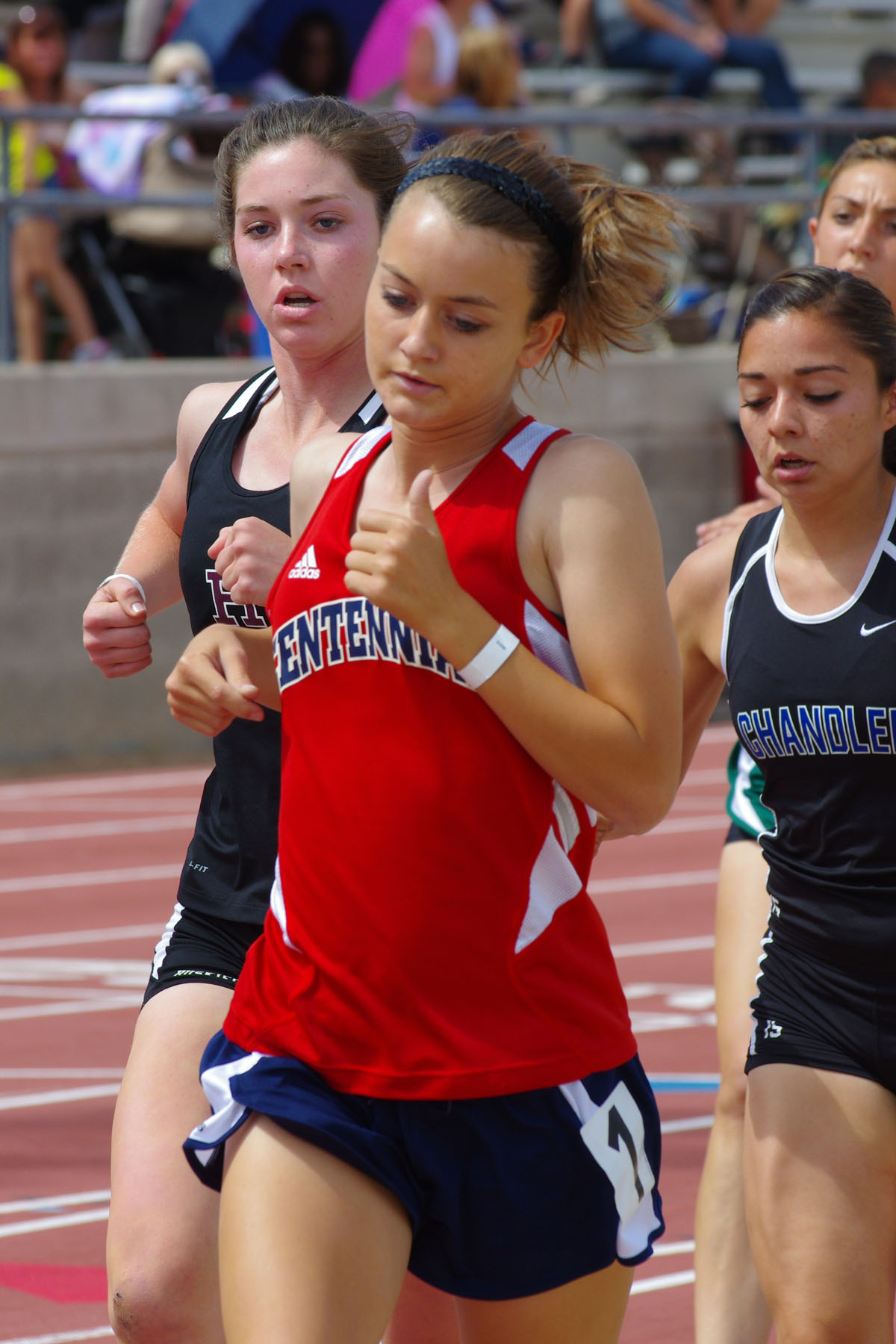 IMGP3881_C.jpg