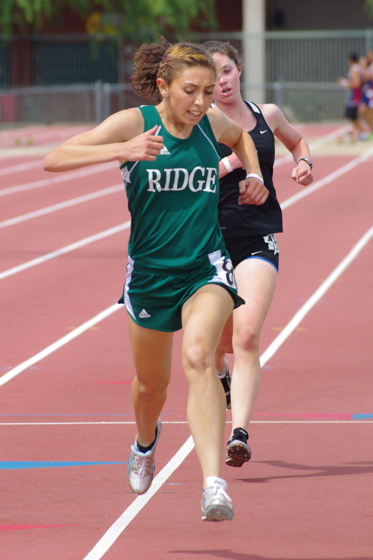 IMGP3917_C.jpg