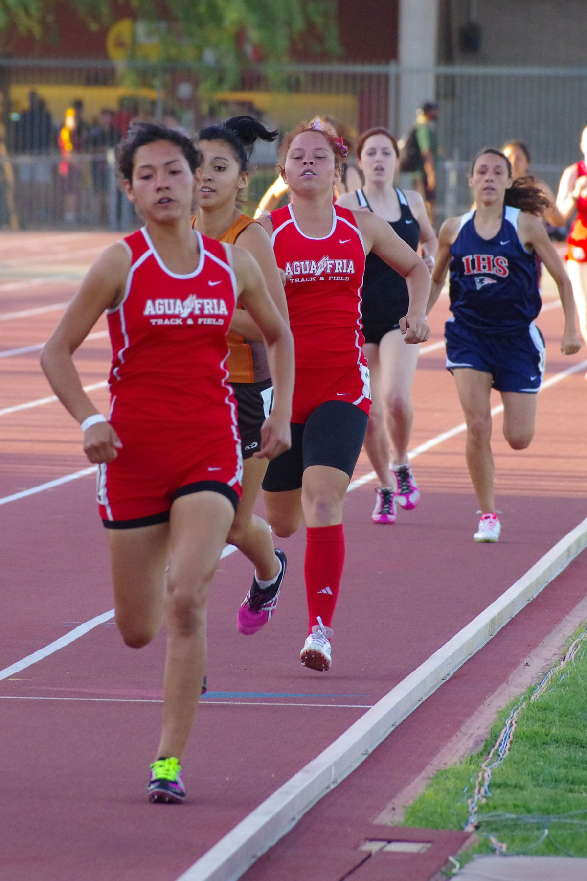 IMGP4529_C.jpg