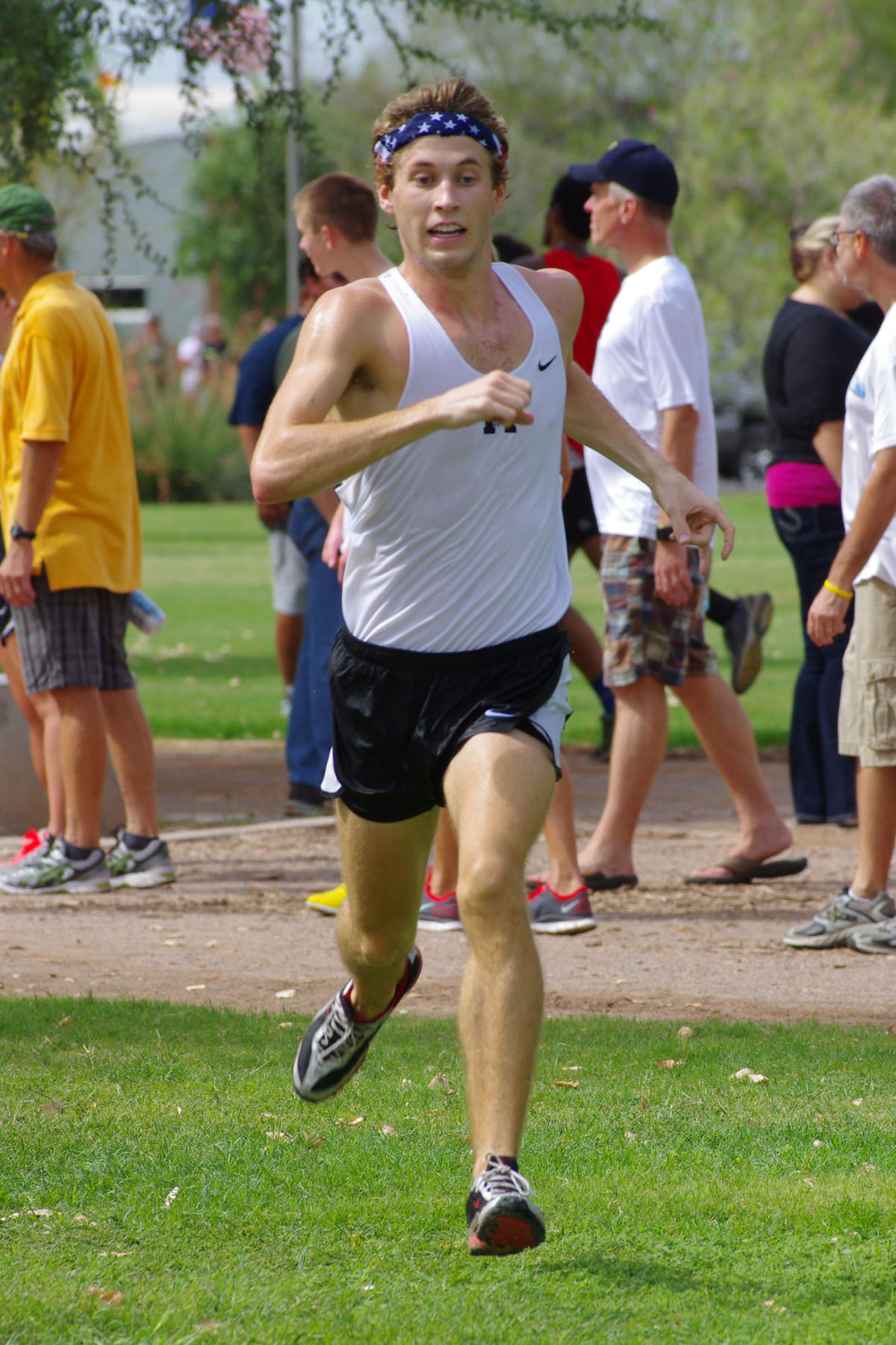 IMGP9500_C.jpg