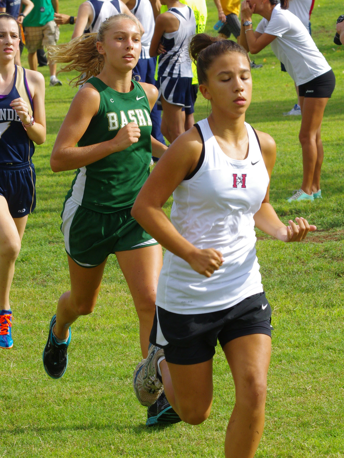 IMGP9293_C.jpg