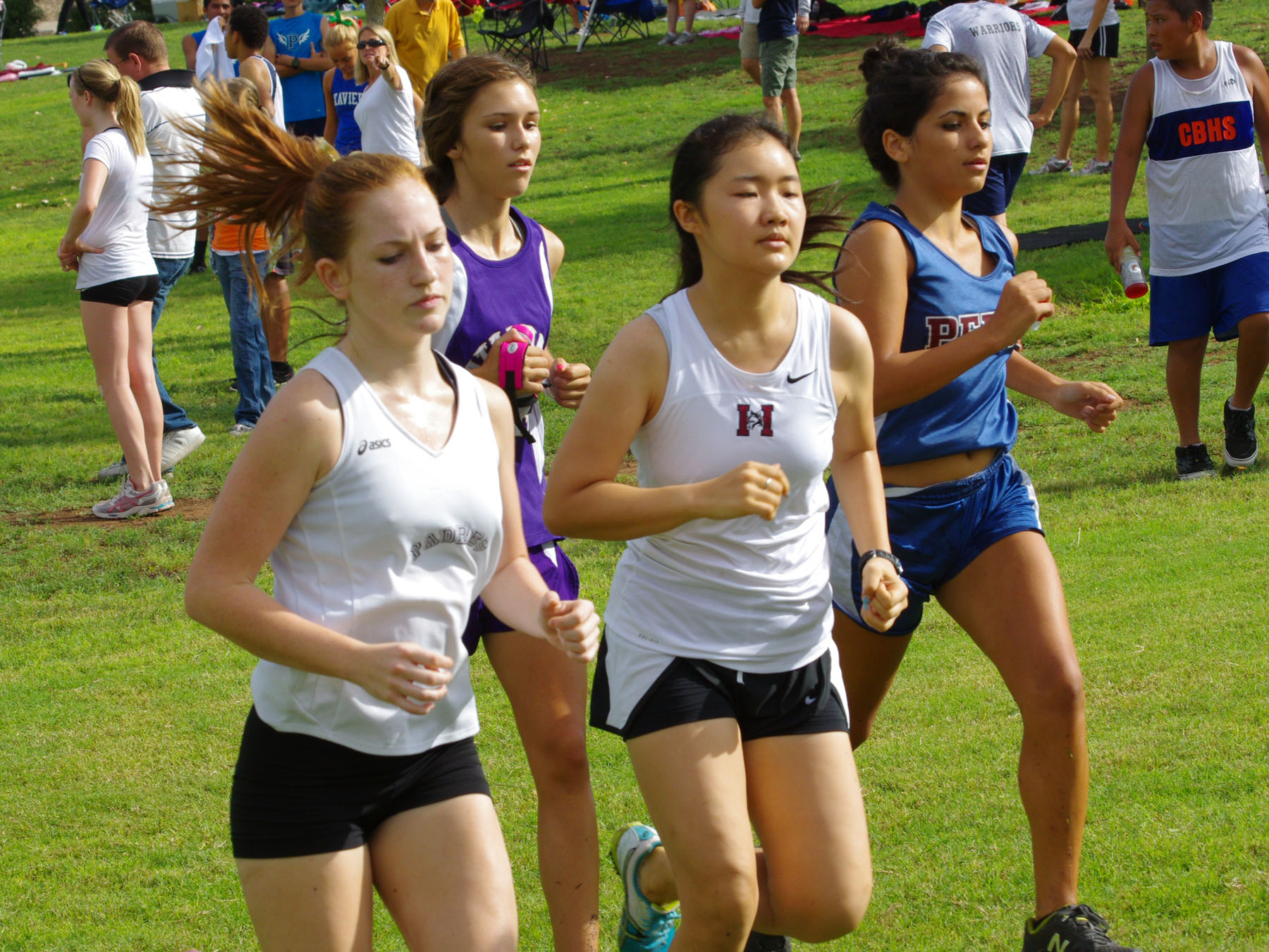 IMGP9297_C.jpg