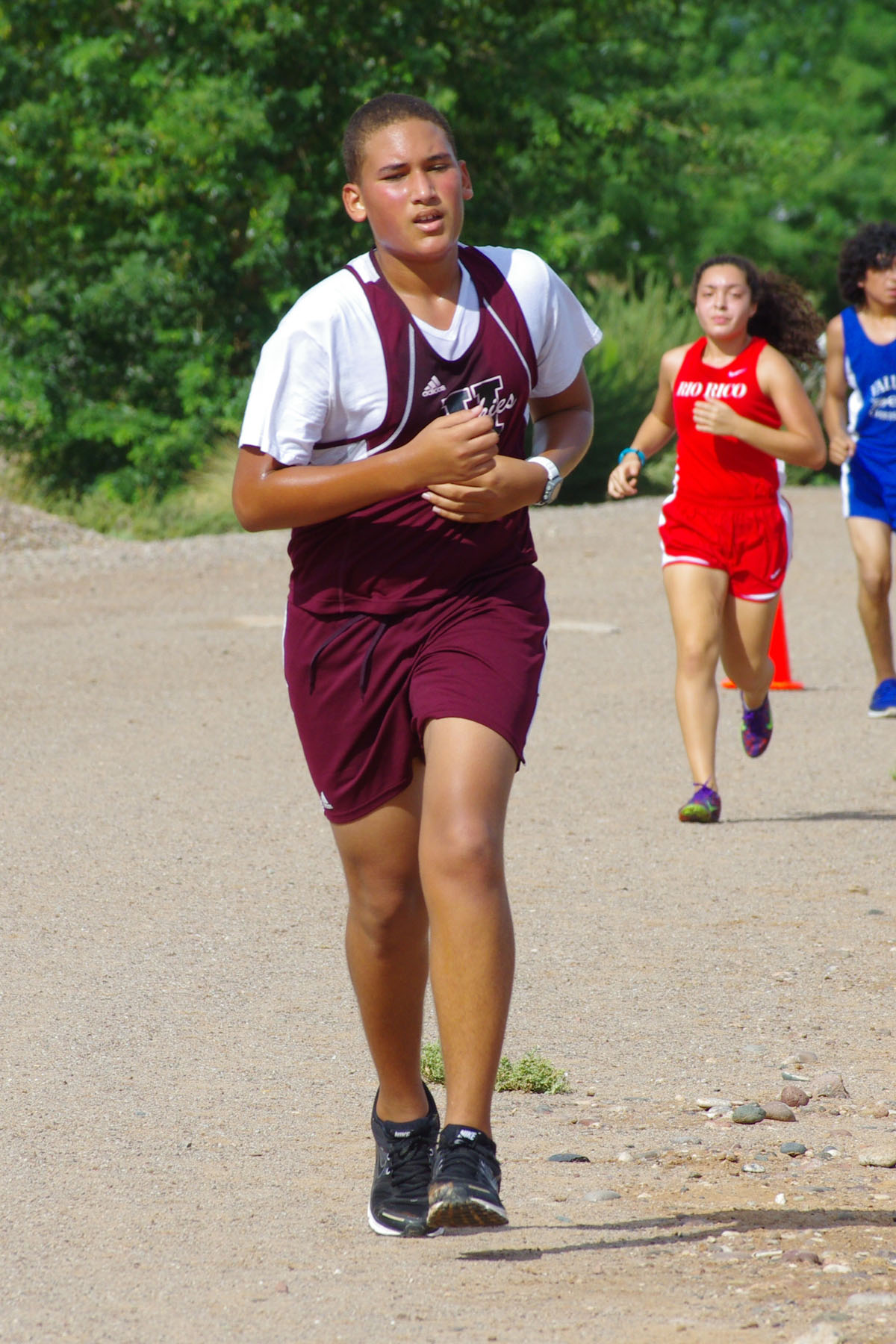 IMGP9314_C.jpg