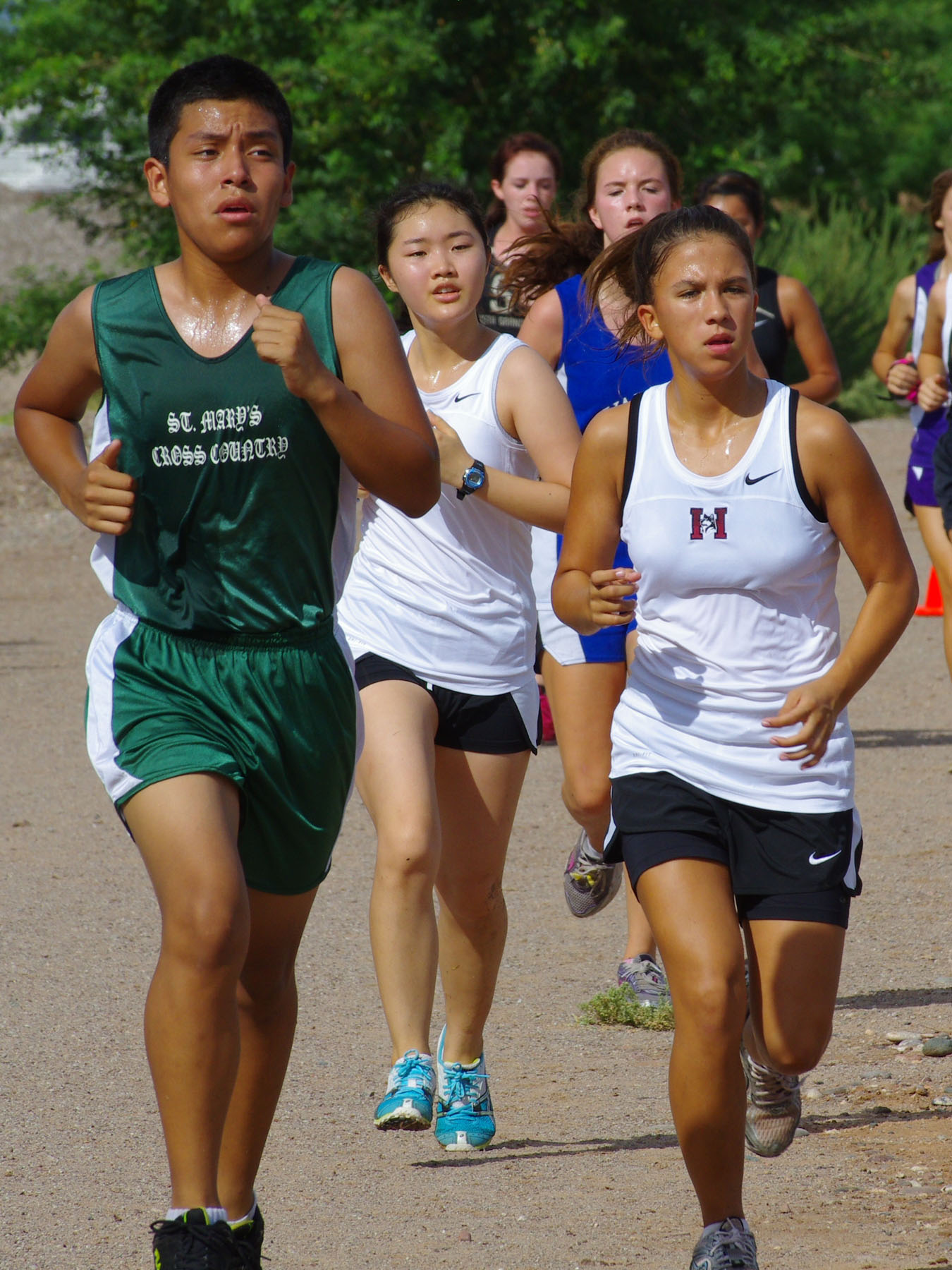IMGP9318_C.jpg