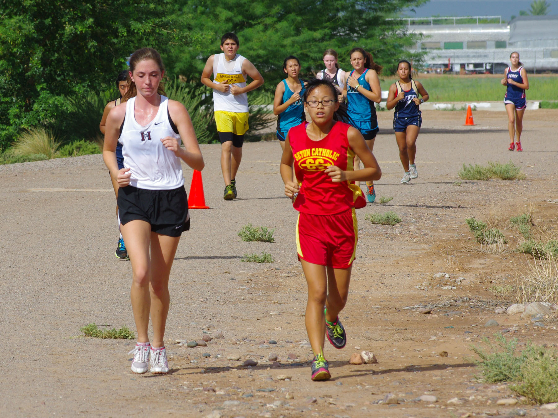 IMGP9321_C.jpg