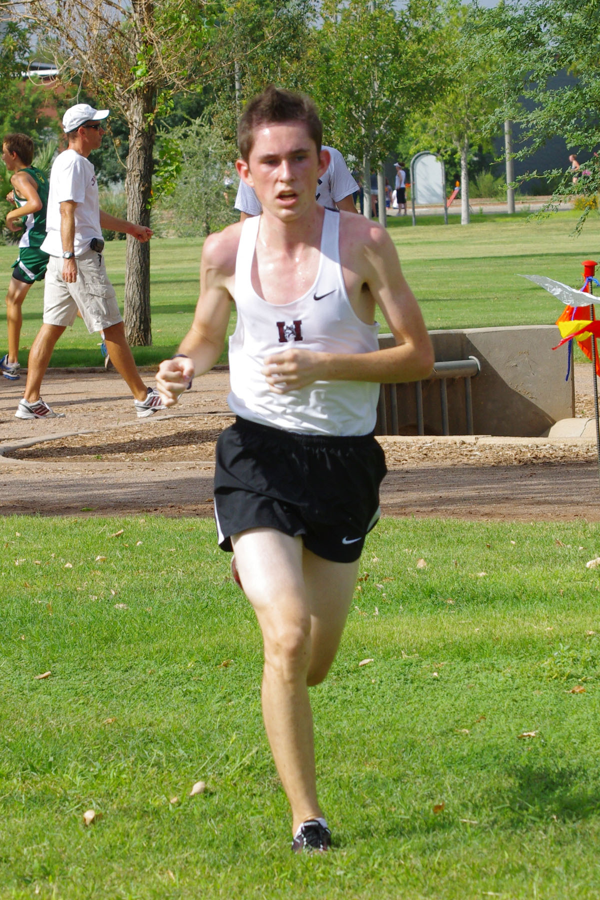 IMGP9327_C.jpg