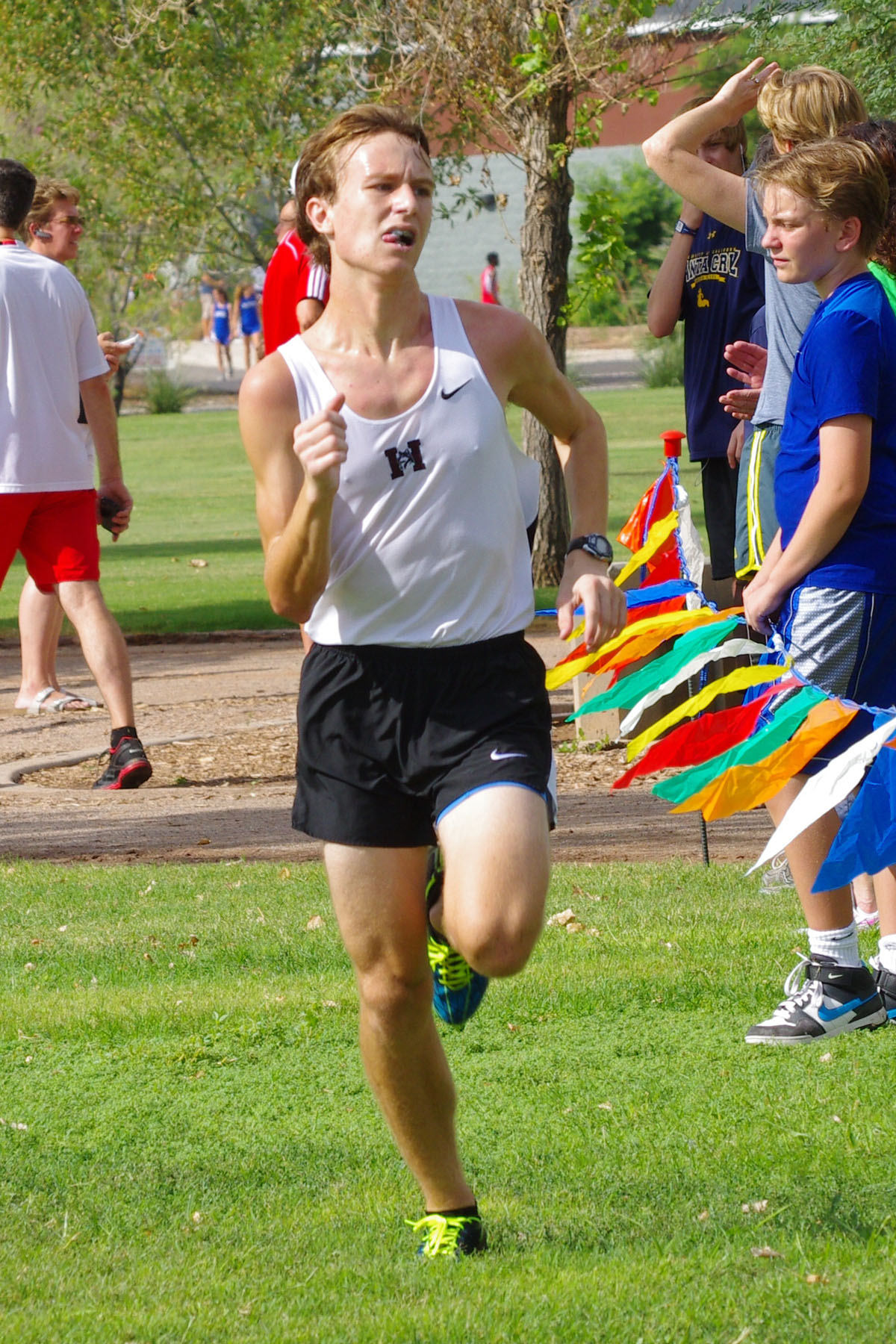 IMGP9330_C.jpg