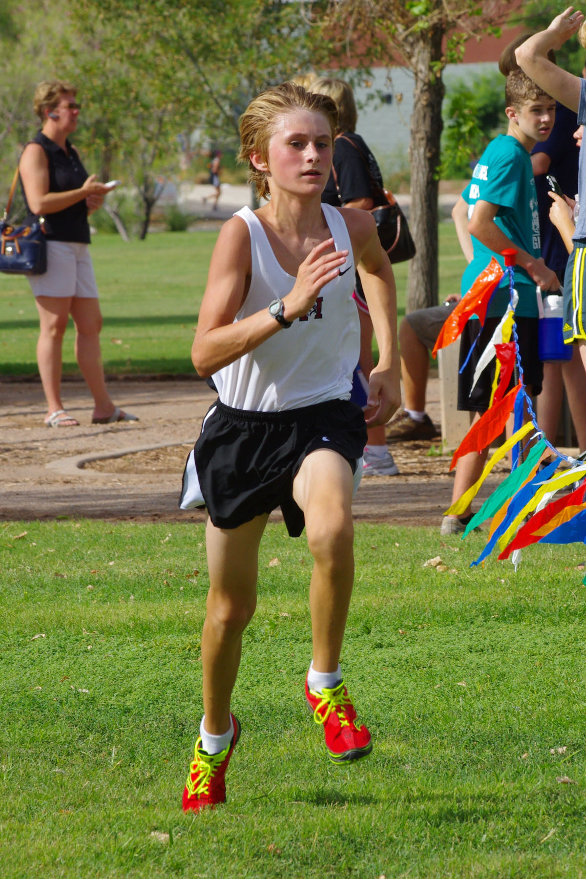 IMGP9332_C.jpg