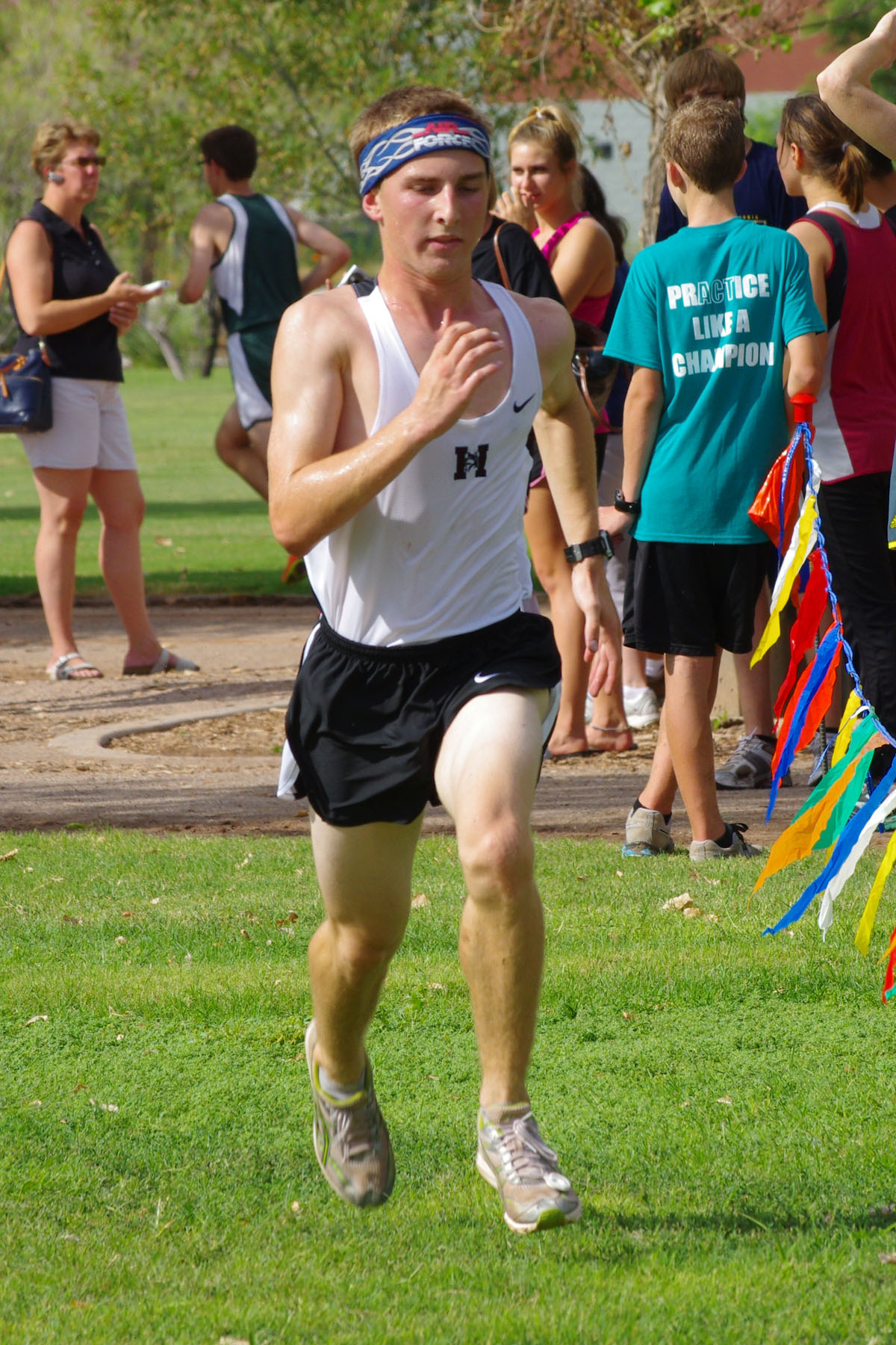 IMGP9335_C.jpg