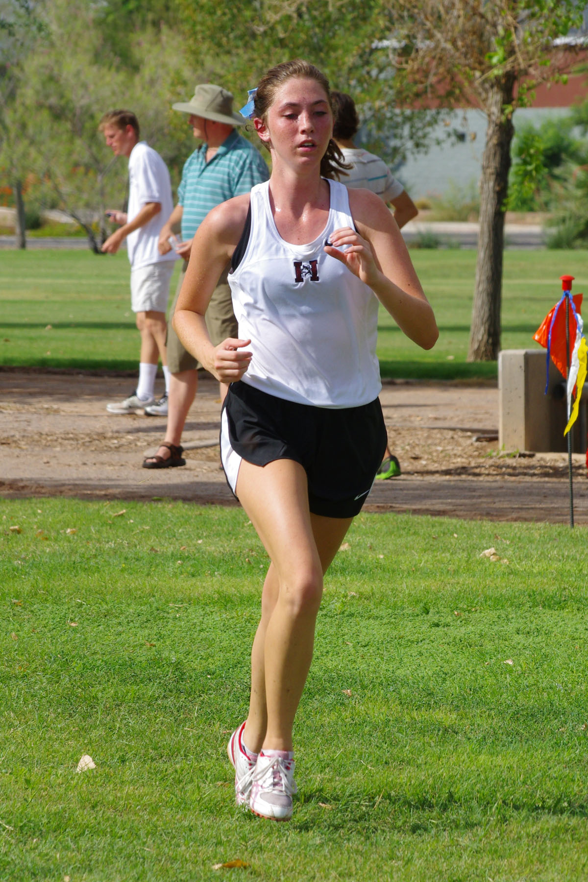 IMGP9354_C.jpg