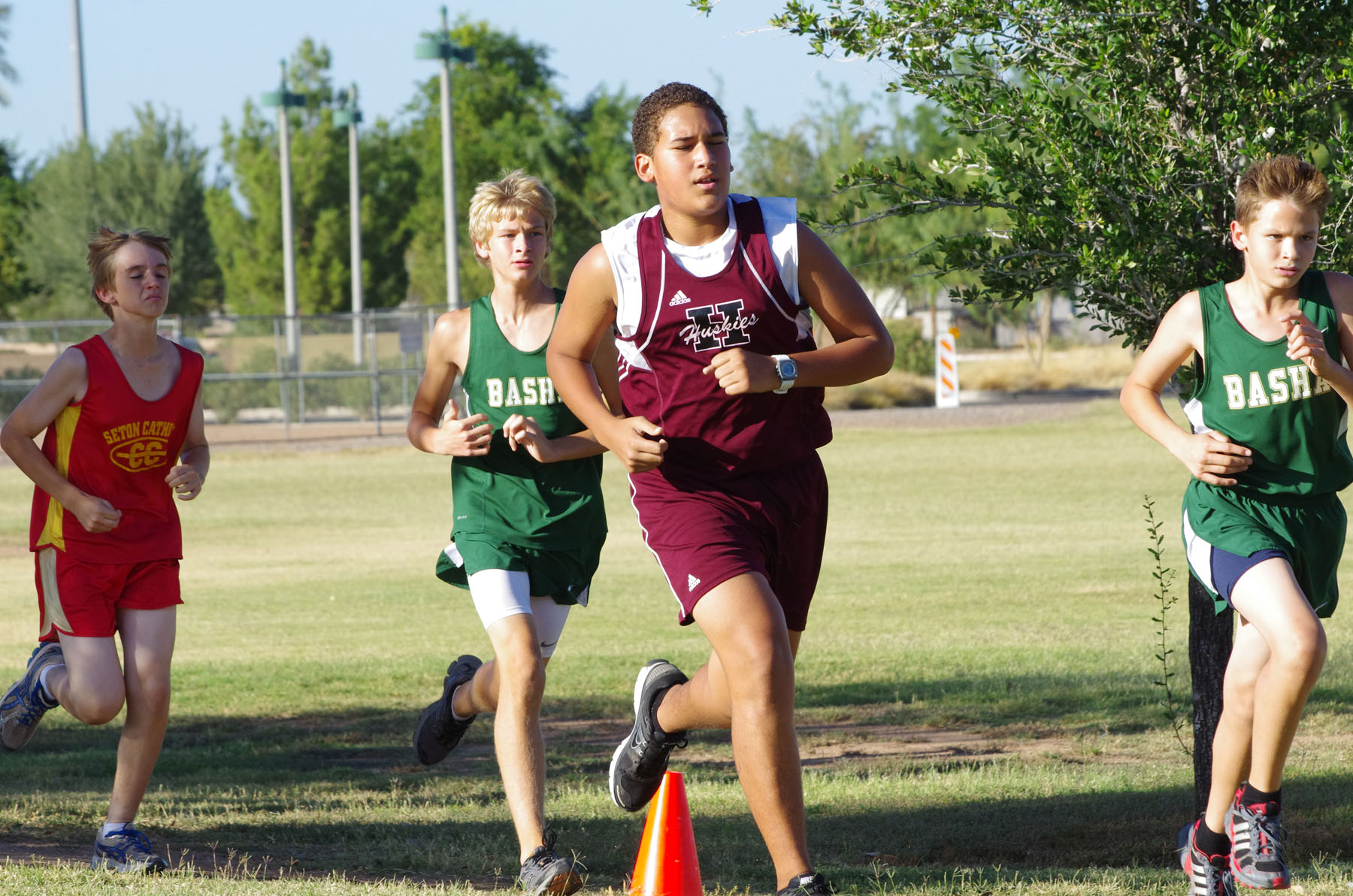 IMGP1033.jpg