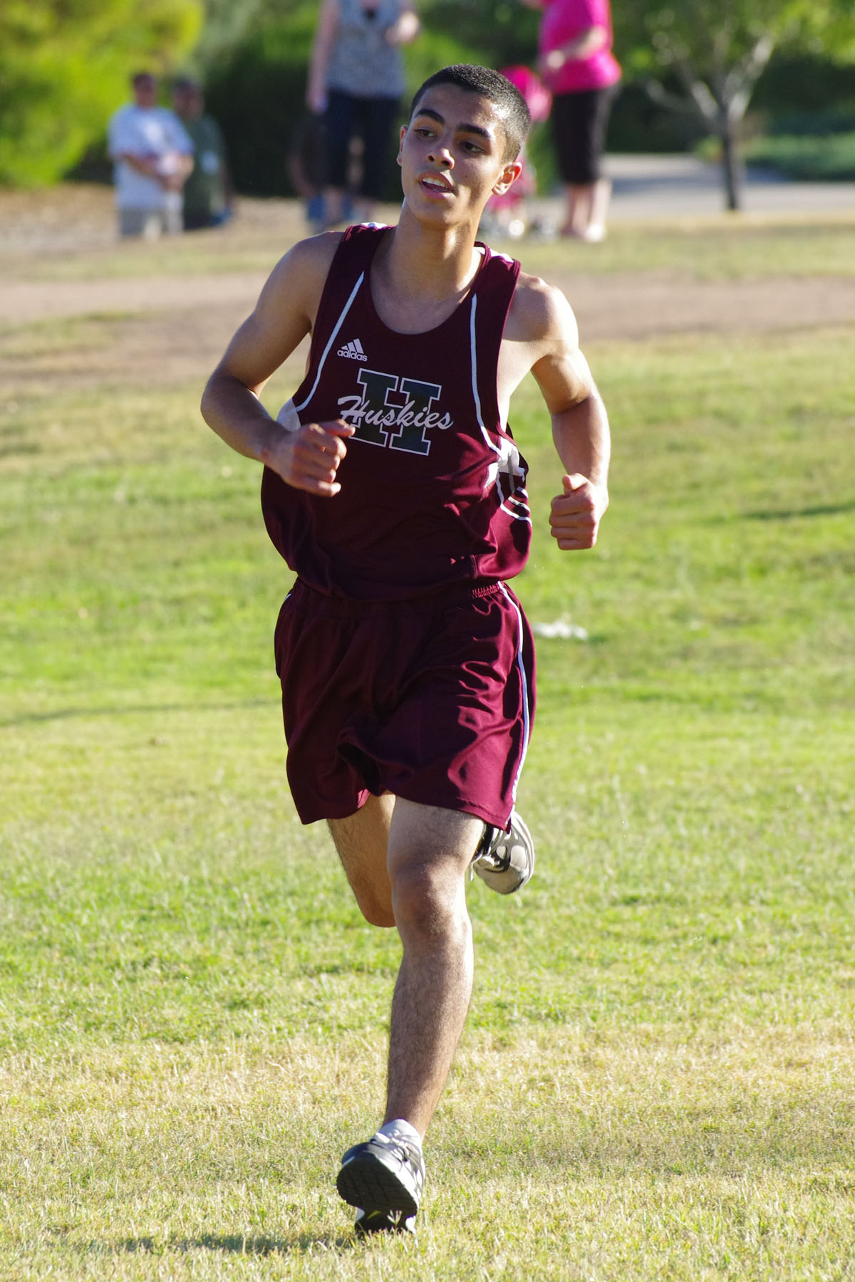 IMGP1146_C.jpg
