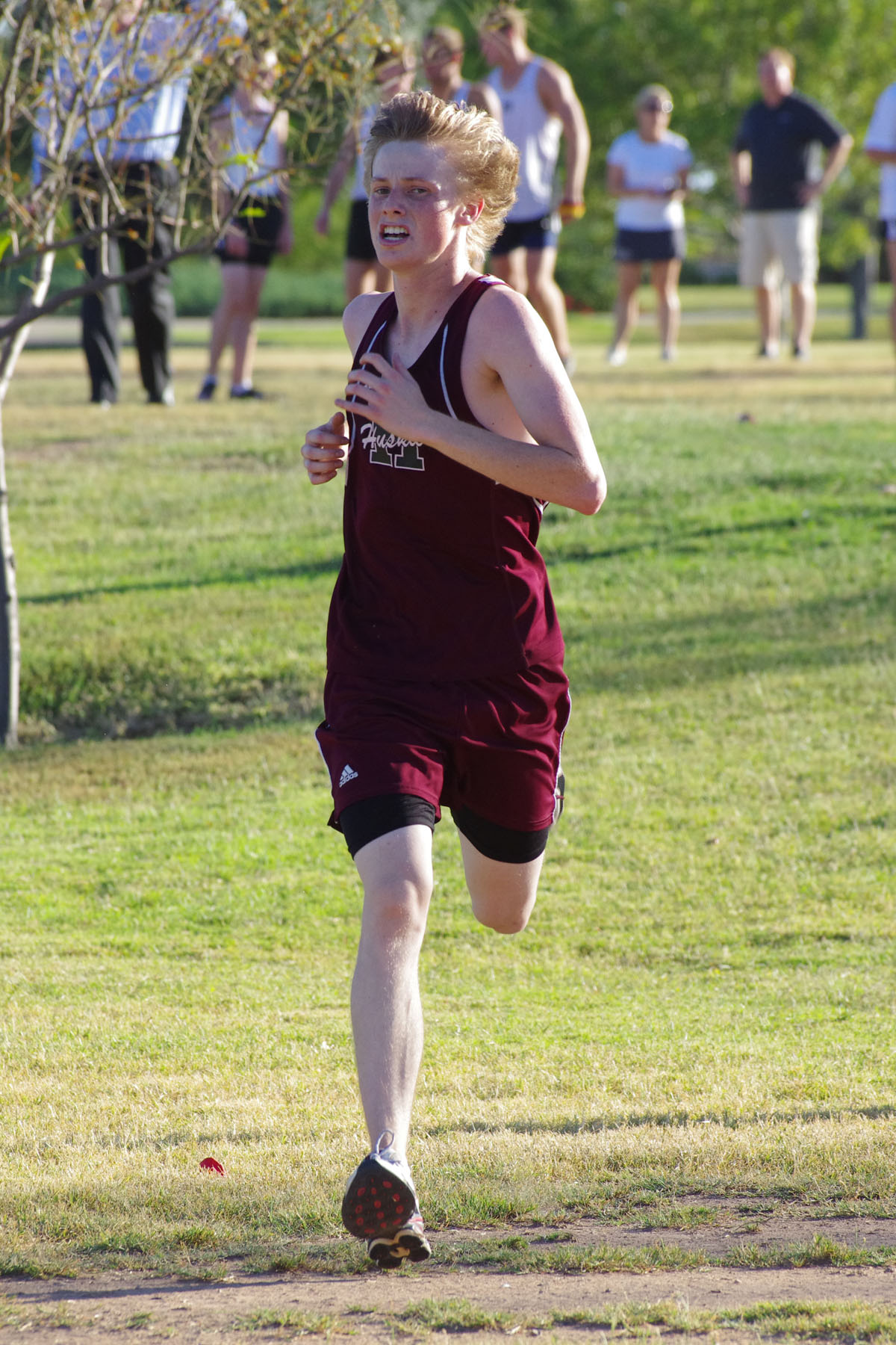 IMGP1155_C.jpg