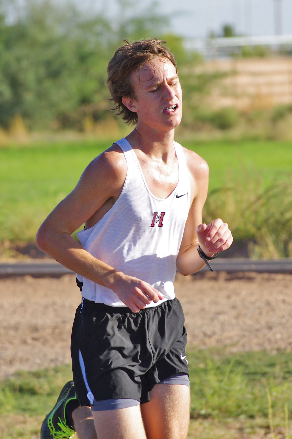 IMGP0939_C.jpg
