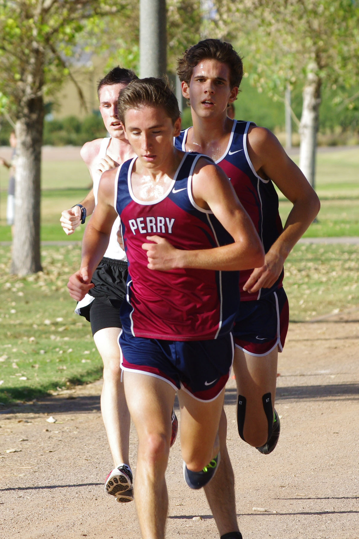 IMGP0948_C.jpg