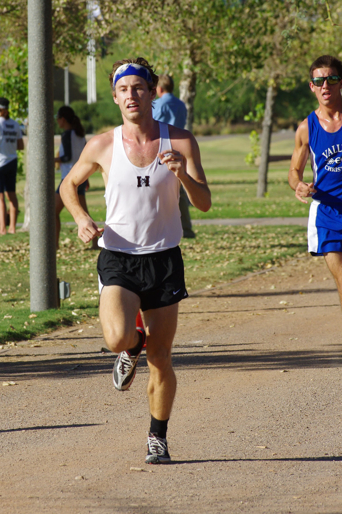 IMGP0951_C.jpg