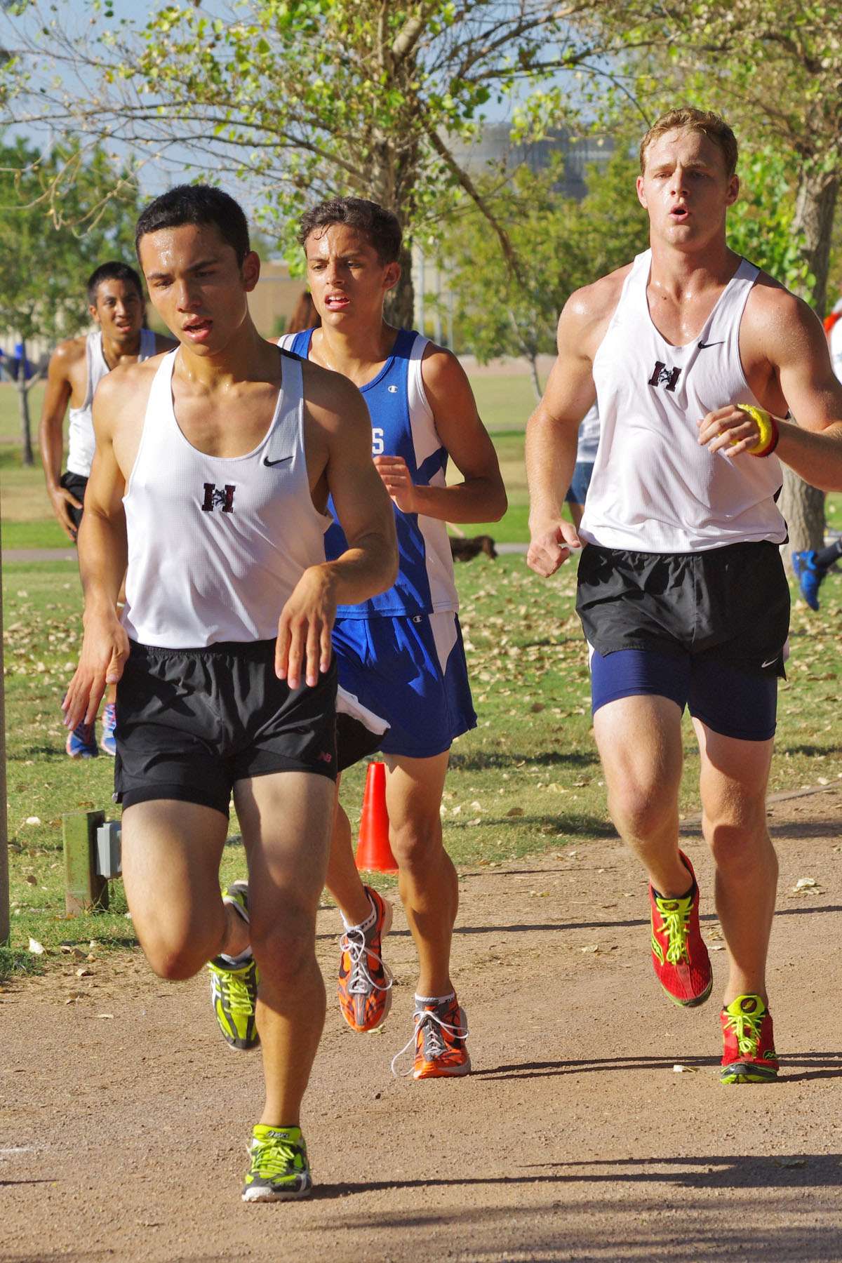 IMGP0956_CE.jpg